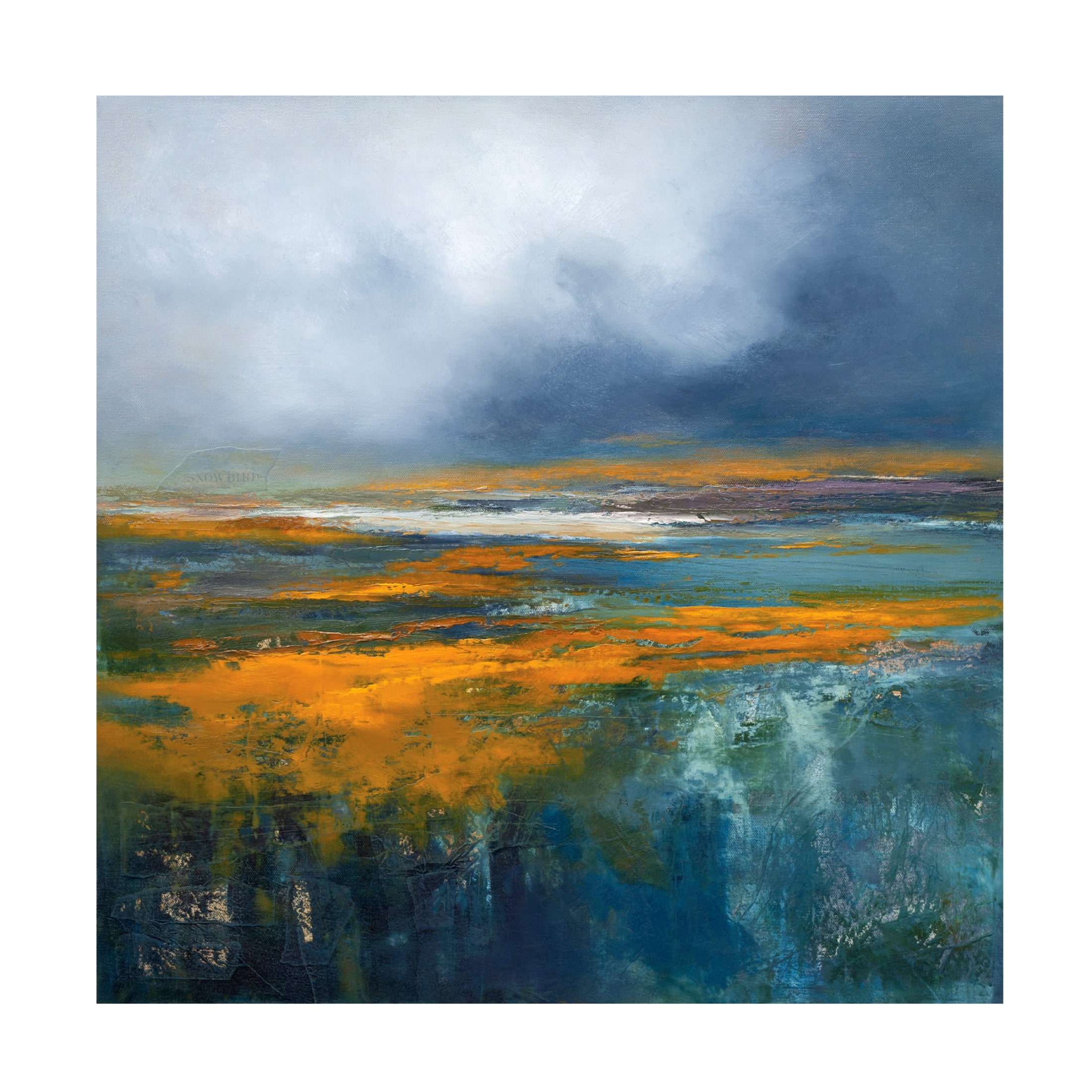 Canvas Wall Art - Patrick Dennis 'Snowbird' Wall Art for Living Room, Bedroom, or Office Décor by Trademark Fine Art - 14 x 14 Inches