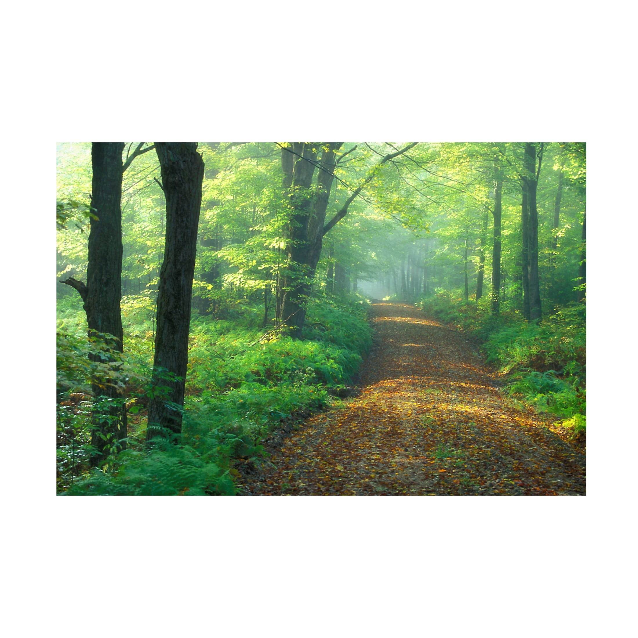 Canvas Wall Art - Patrick Zephyr 'First Light' Wall Art for Living Room, Bedroom, or Office Décor by Trademark Fine Art - 32 x 22 Inches