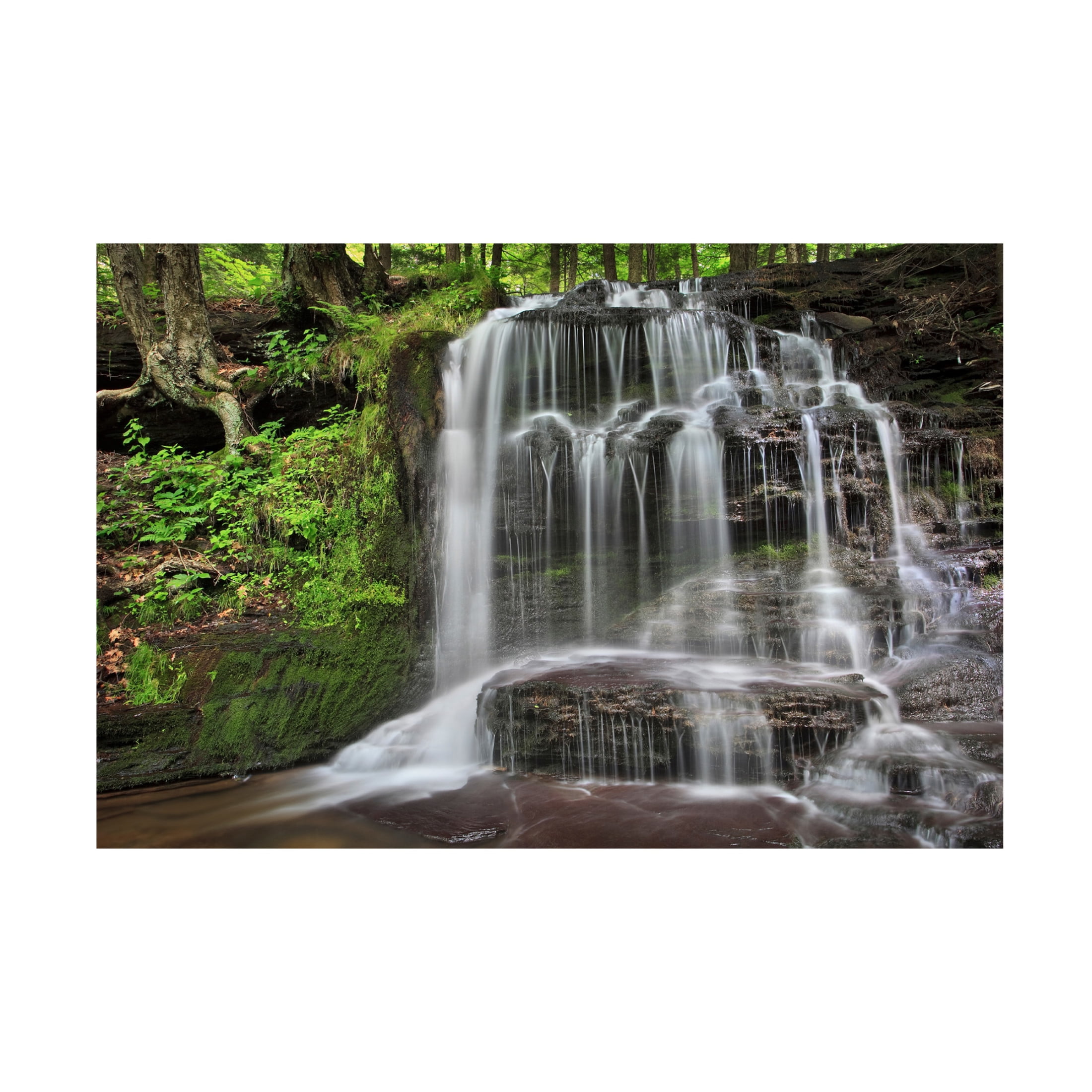 Canvas Wall Art - Patrick Zephyr 'Gunn Brooks Falls' Wall Art for Living Room, Bedroom, or Office Décor by Trademark Fine Art - 24 x 16 Inches
