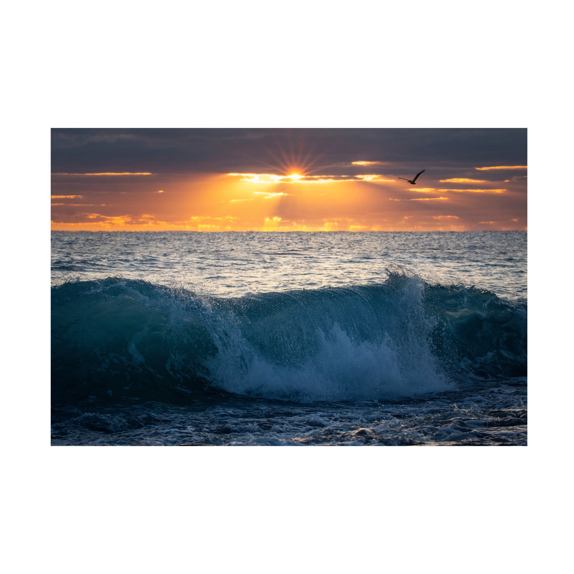 Canvas Wall Art - Patrick Zephyr 'Pelican at Dawn' Wall Art for Living Room, Bedroom, or Office Décor by Trademark Fine Art - 19 x 12 Inches