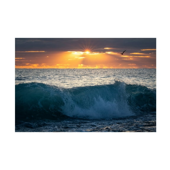 Canvas Wall Art - Patrick Zephyr 'Pelican at Dawn' Wall Art for Living Room, Bedroom, or Office Décor by Trademark Fine Art - 32 x 22 Inches