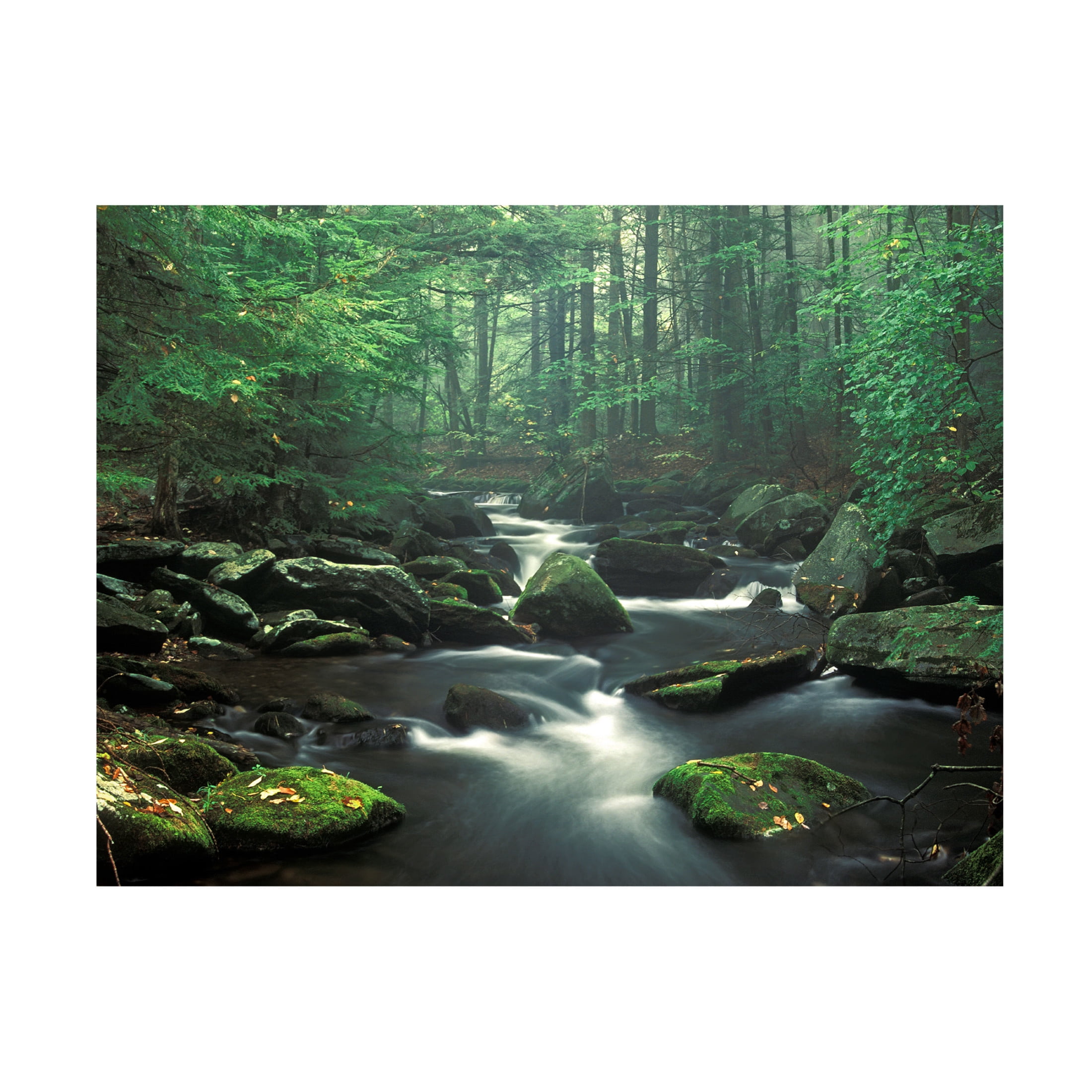 Canvas Wall Art - Patrick Zephyr 'Sawmill River' Wall Art for Living Room, Bedroom, or Office Décor by Trademark Fine Art - 47 x 35 Inches