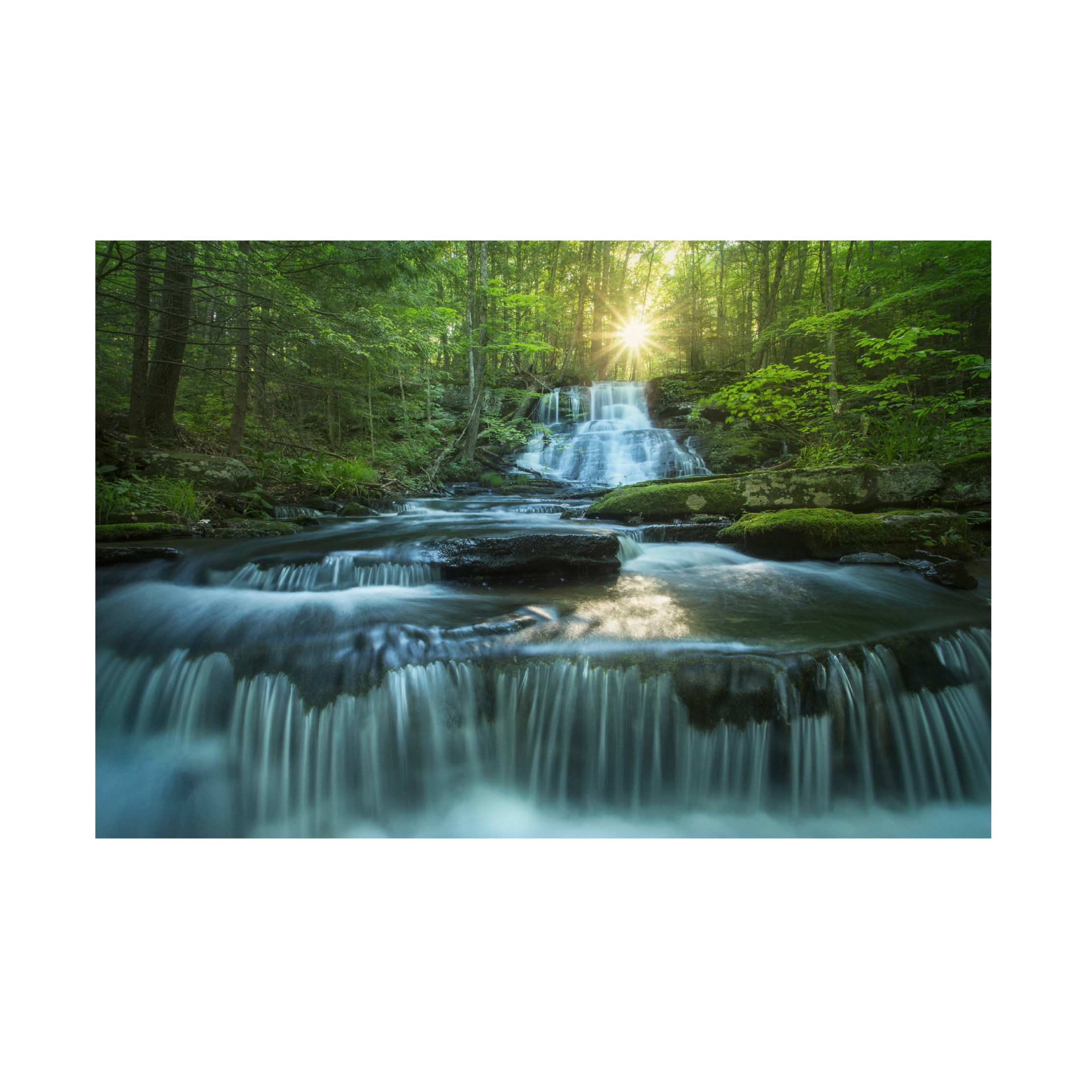 Canvas Wall Art - Patrick Zephyr 'Sublime' Wall Art for Living Room, Bedroom, or Office Décor by Trademark Fine Art - 47 x 30 Inches