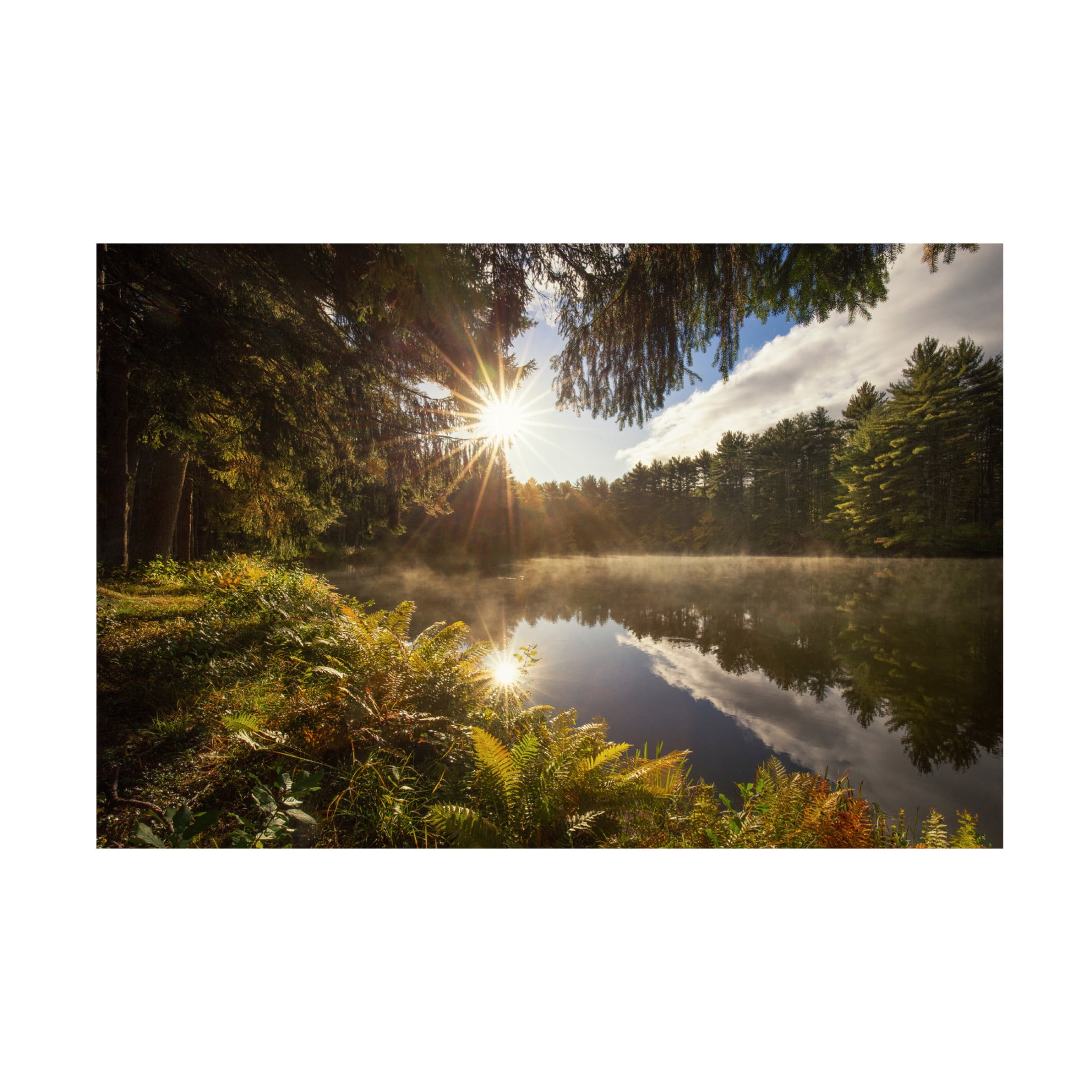 Canvas Wall Art - Patrick Zephyr 'Sunstars' Wall Art for Living Room, Bedroom, or Office Décor by Trademark Fine Art - 24 x 16 Inches