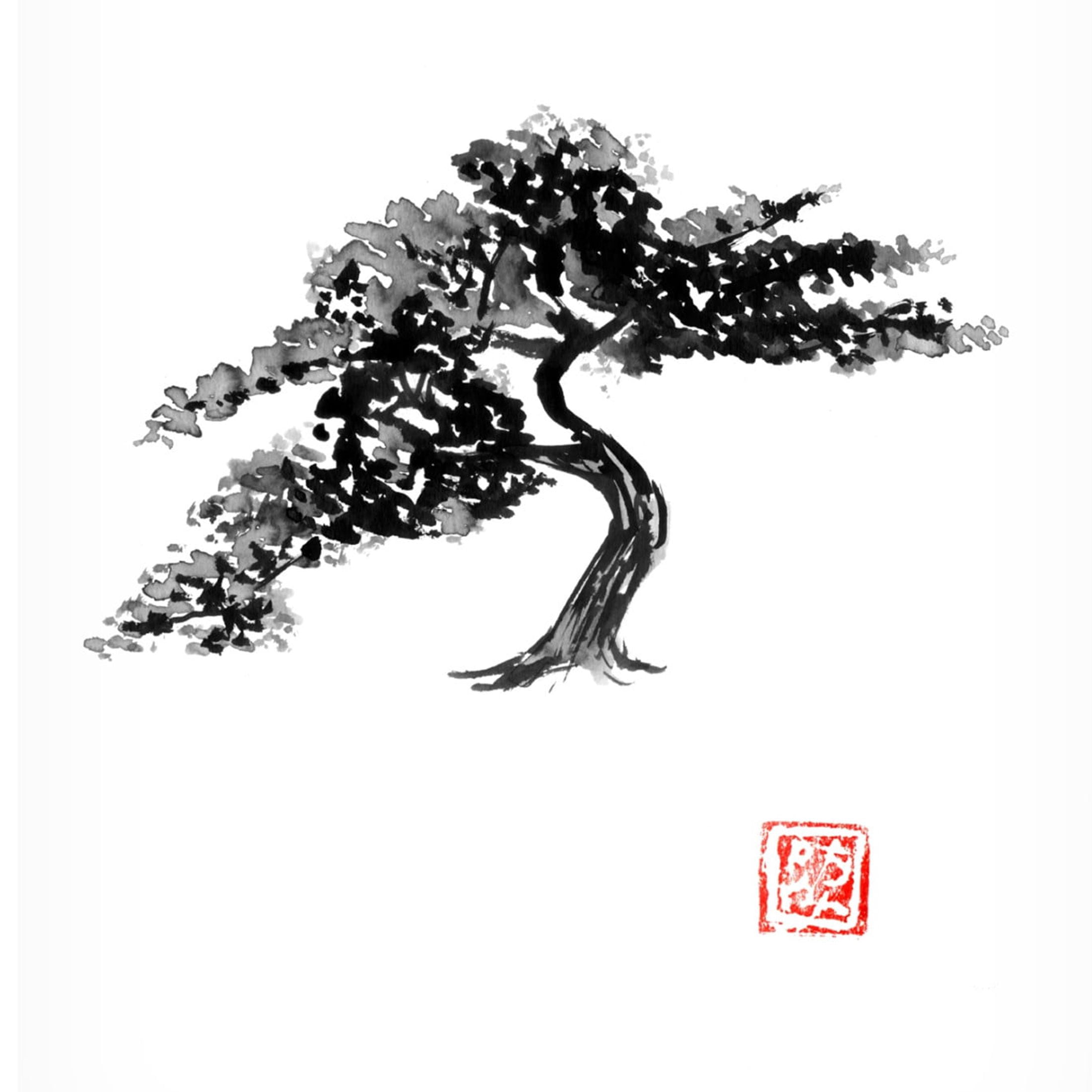 Canvas Wall Art - Pechane 'Bonsai' Wall Art for Living Room, Bedroom, or Office Décor by Trademark Fine Art - 14 x 19 Inches