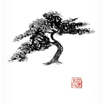 Canvas Wall Art - Pechane 'Bonsai' Wall Art for Living Room, Bedroom, or Office Décor by Trademark Fine Art - 14 x 19 Inches
