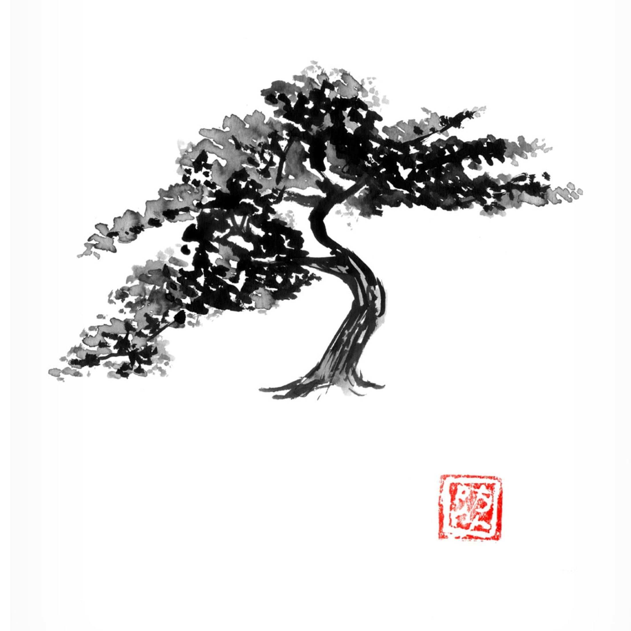 Canvas Wall Art - Pechane 'Bonsai' Wall Art for Living Room, Bedroom, or Office Décor by Trademark Fine Art - 35 x 47 Inches