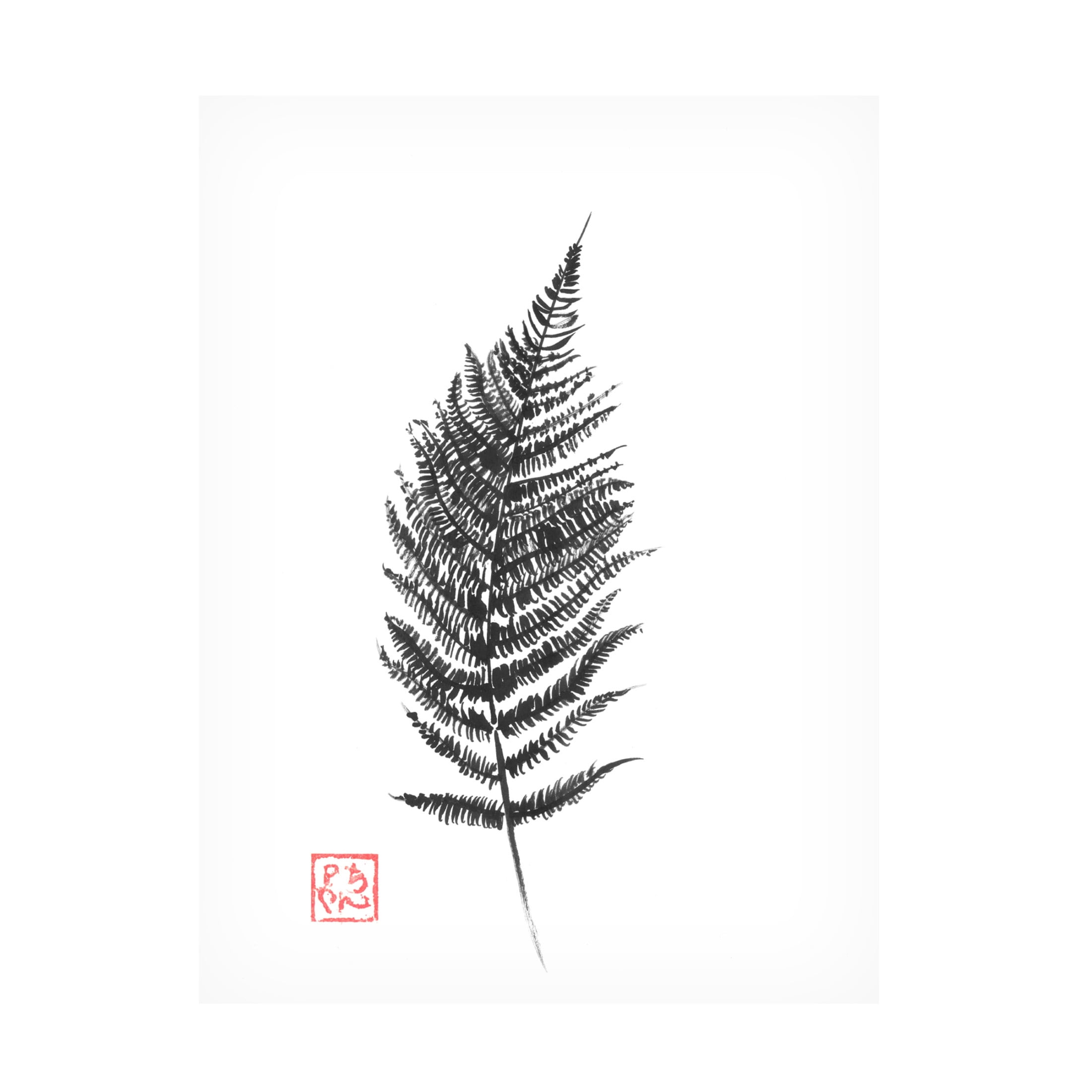 Canvas Wall Art - Pechane 'Fern' Wall Art for Living Room, Bedroom, or Office Décor by Trademark Fine Art - 18 x 24 Inches