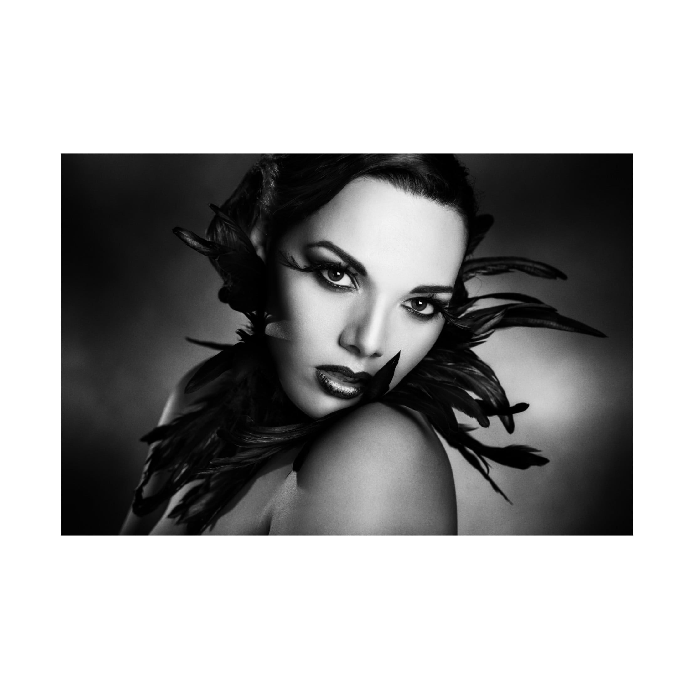 Canvas Wall Art - Peppe Tambe 'The Black Feathers' Wall Art for Living Room, Bedroom, or Office Décor by Trademark Fine Art - 32 x 22 Inches