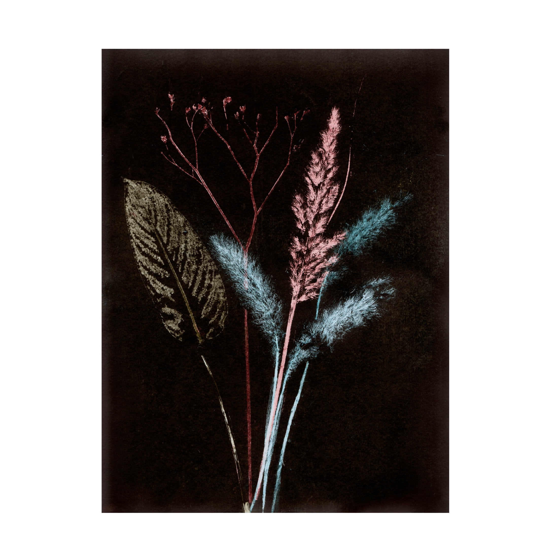 Canvas Wall Art - Pernille Folcarelli 'Bouquet 4 Dark' Wall Art for Living Room, Bedroom, or Office Décor by Trademark Fine Art - 24 x 32 Inches