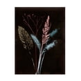 thumbnail image 1 of Canvas Wall Art - Pernille Folcarelli 'Bouquet 4 Dark' Wall Art for Living Room, Bedroom, or Office Décor by Trademark Fine Art - 35 x 47 Inches, 1 of 4