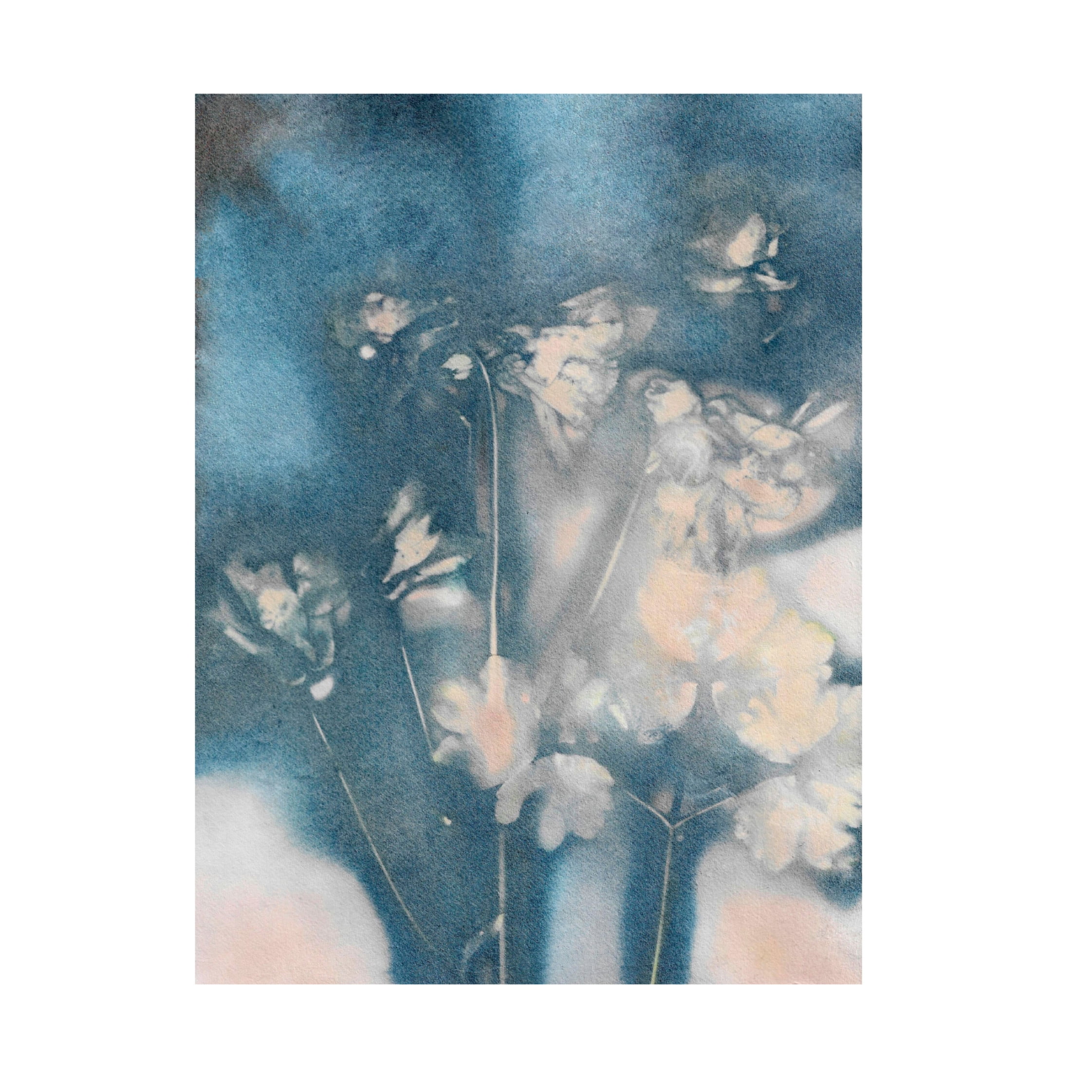 Canvas Wall Art - Pernille Folcarelli 'Columbine 2 Peach Blue' Wall Art for Living Room, Bedroom, or Office Décor by Trademark Fine Art - 14 x 19 Inches