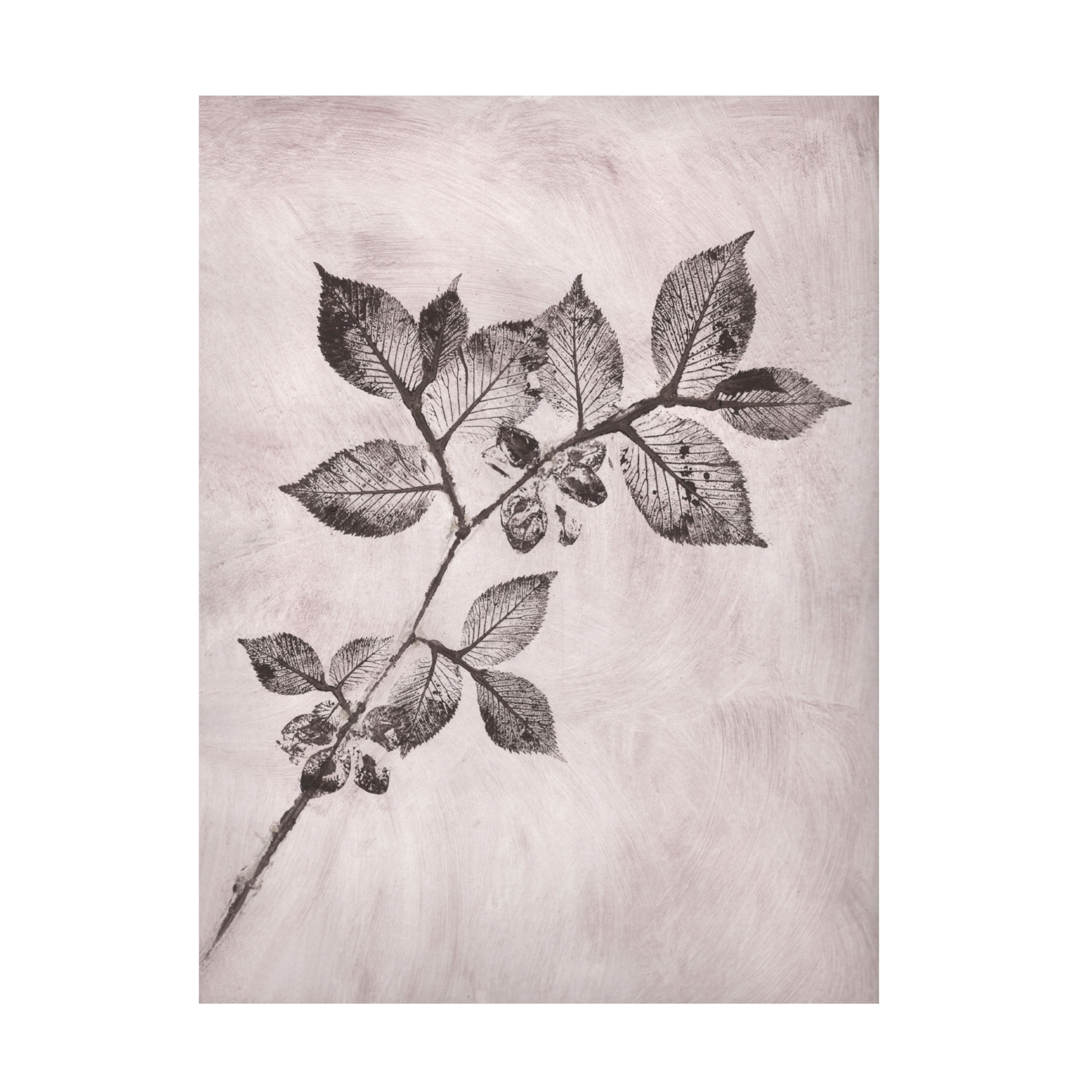 Canvas Wall Art - Pernille Folcarelli 'Elm 1 Brown' Wall Art for Living Room, Bedroom, or Office Décor by Trademark Fine Art - 24 x 32 Inches