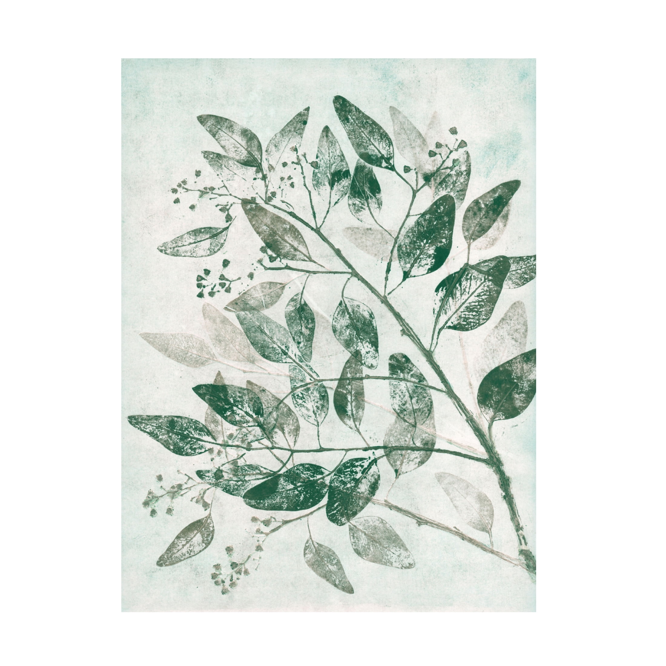 Canvas Wall Art - Pernille Folcarelli 'Eucalyptus 1 Green' Wall Art for Living Room, Bedroom, or Office Décor by Trademark Fine Art - 18 x 24 Inches