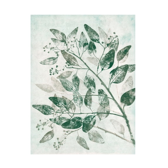 Canvas Wall Art - Pernille Folcarelli 'Eucalyptus 1 Green' Wall Art for Living Room, Bedroom, or Office Décor by Trademark Fine Art - 35 x 47 Inches