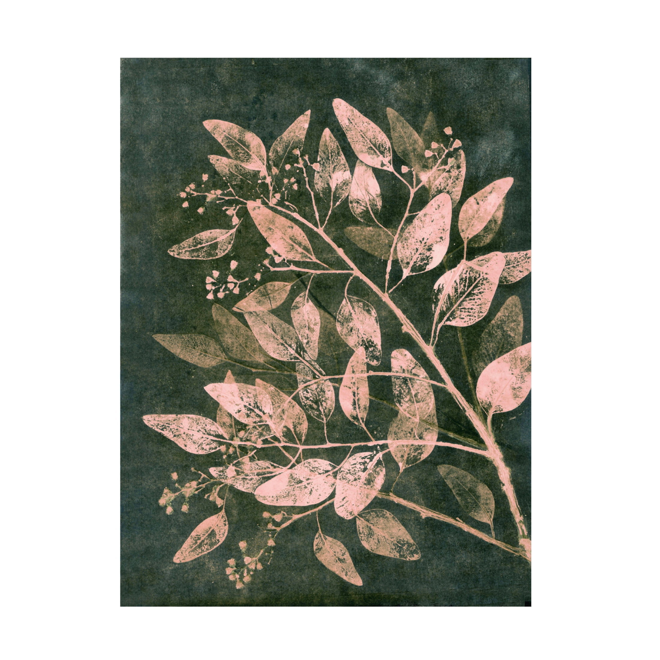 Canvas Wall Art - Pernille Folcarelli 'Eucalyptus 1 Moss Blush' Wall Art for Living Room, Bedroom, or Office Décor by Trademark Fine Art - 35 x 47 Inches