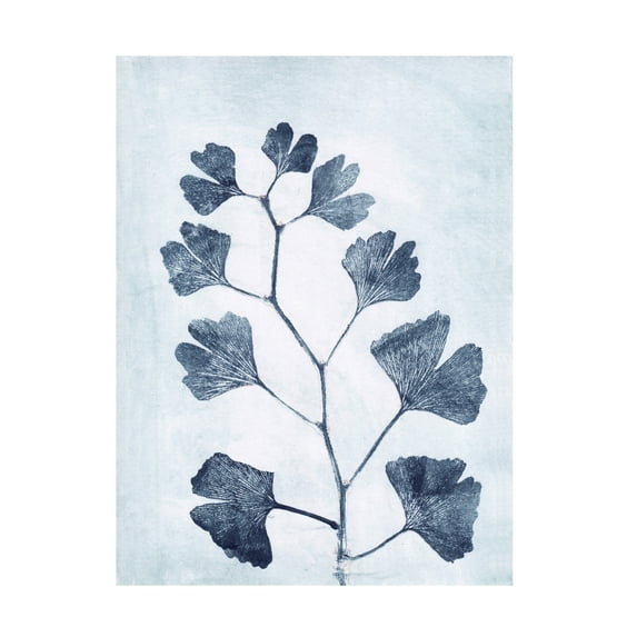Canvas Wall Art - Pernille Folcarelli 'Ginko Branch' Wall Art for Living Room, Bedroom, or Office Décor by Trademark Fine Art - 35 x 47 Inches