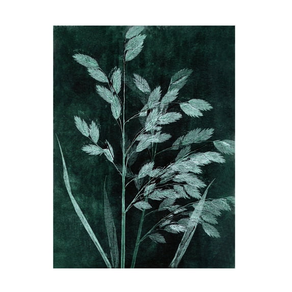 Canvas Wall Art - Pernille Folcarelli 'Grass Petrol' Wall Art for Living Room, Bedroom, or Office Décor by Trademark Fine Art - 14 x 19 Inches