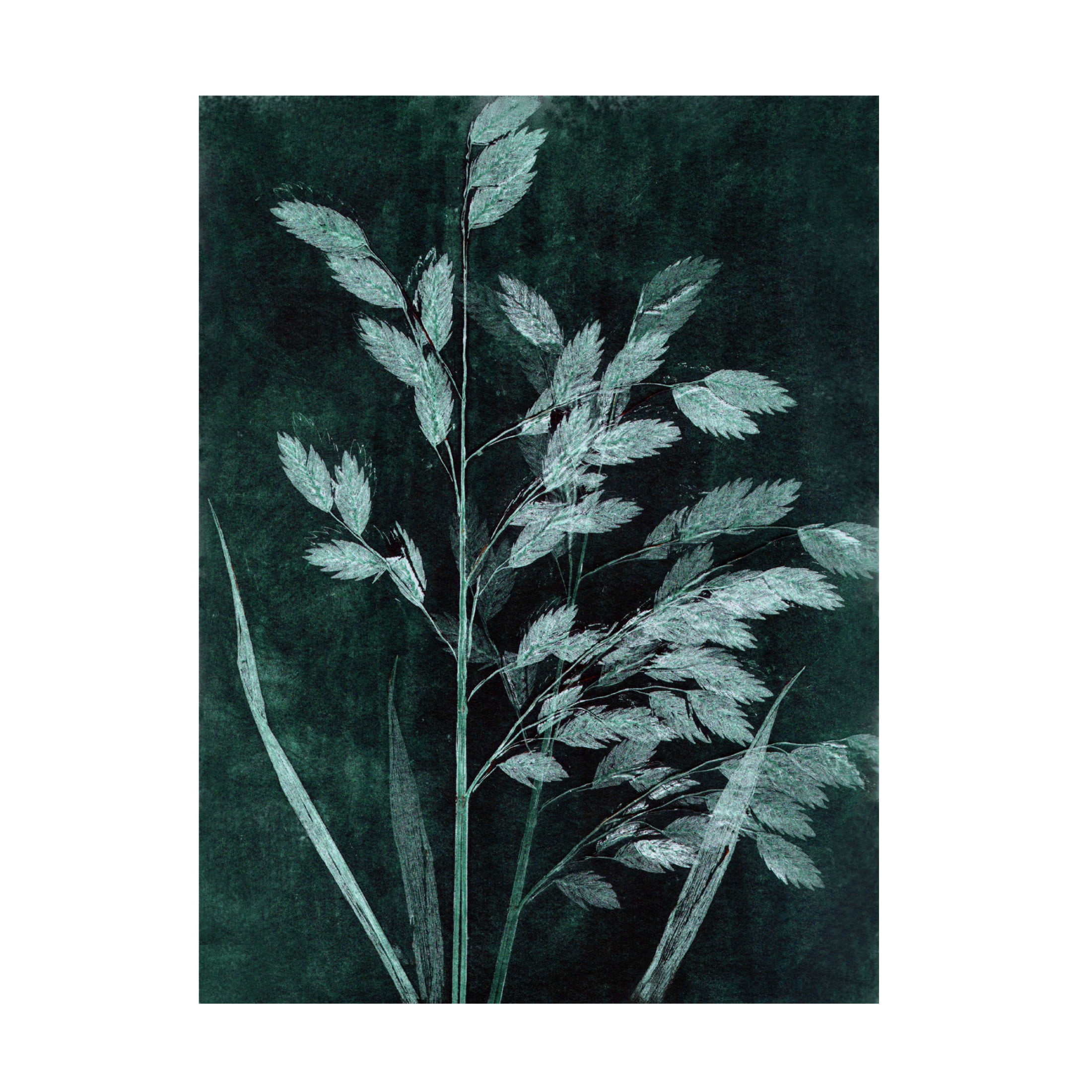 Canvas Wall Art - Pernille Folcarelli 'Grass Petrol' Wall Art for Living Room, Bedroom, or Office Décor by Trademark Fine Art - 24 x 32 Inches