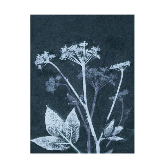 Canvas Wall Art - Pernille Folcarelli 'Ground Elder' Wall Art for Living Room, Bedroom, or Office Décor by Trademark Fine Art - 14 x 19 Inches