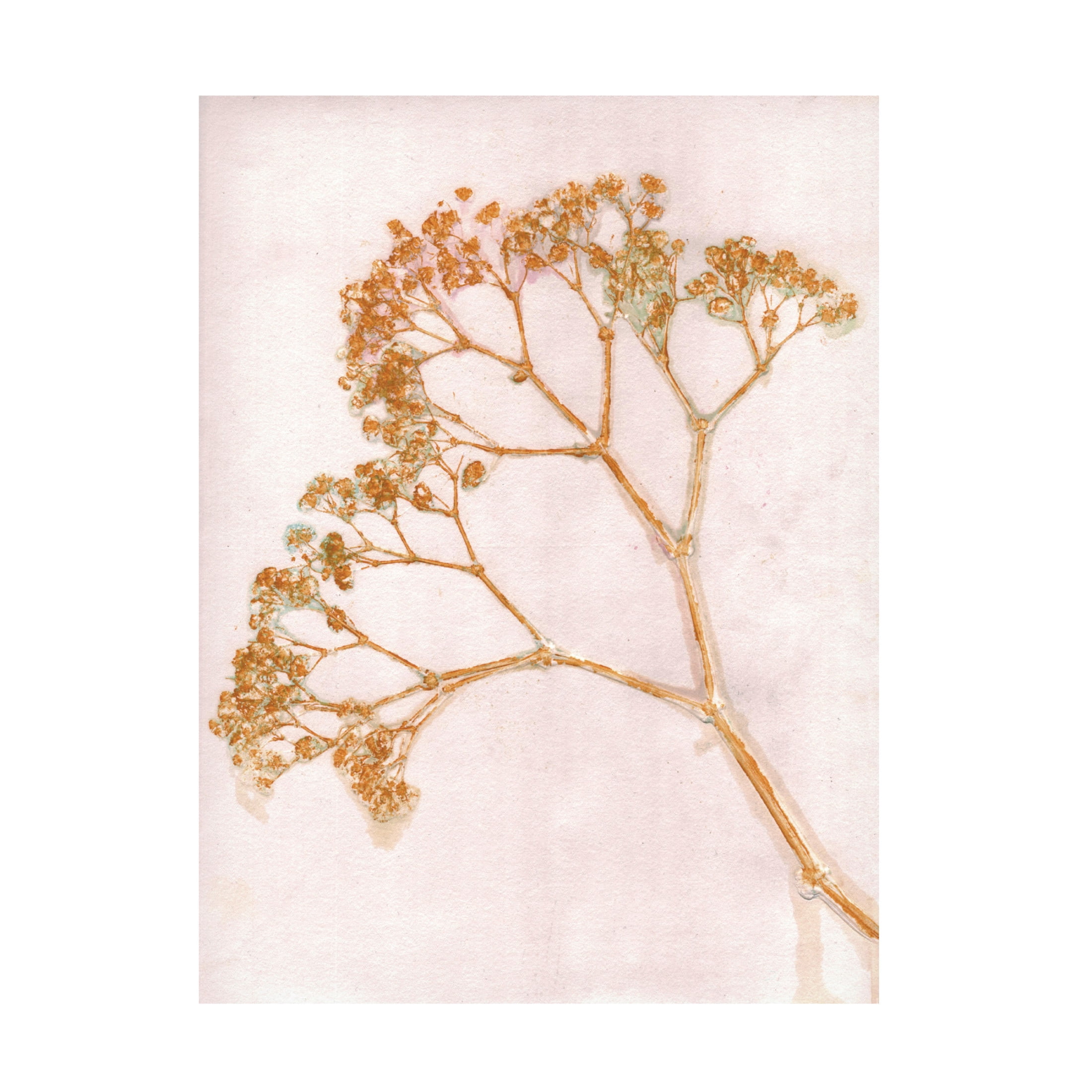 Canvas Wall Art - Pernille Folcarelli 'Gypso Ochre' Wall Art for Living Room, Bedroom, or Office Décor by Trademark Fine Art - 35 x 47 Inches