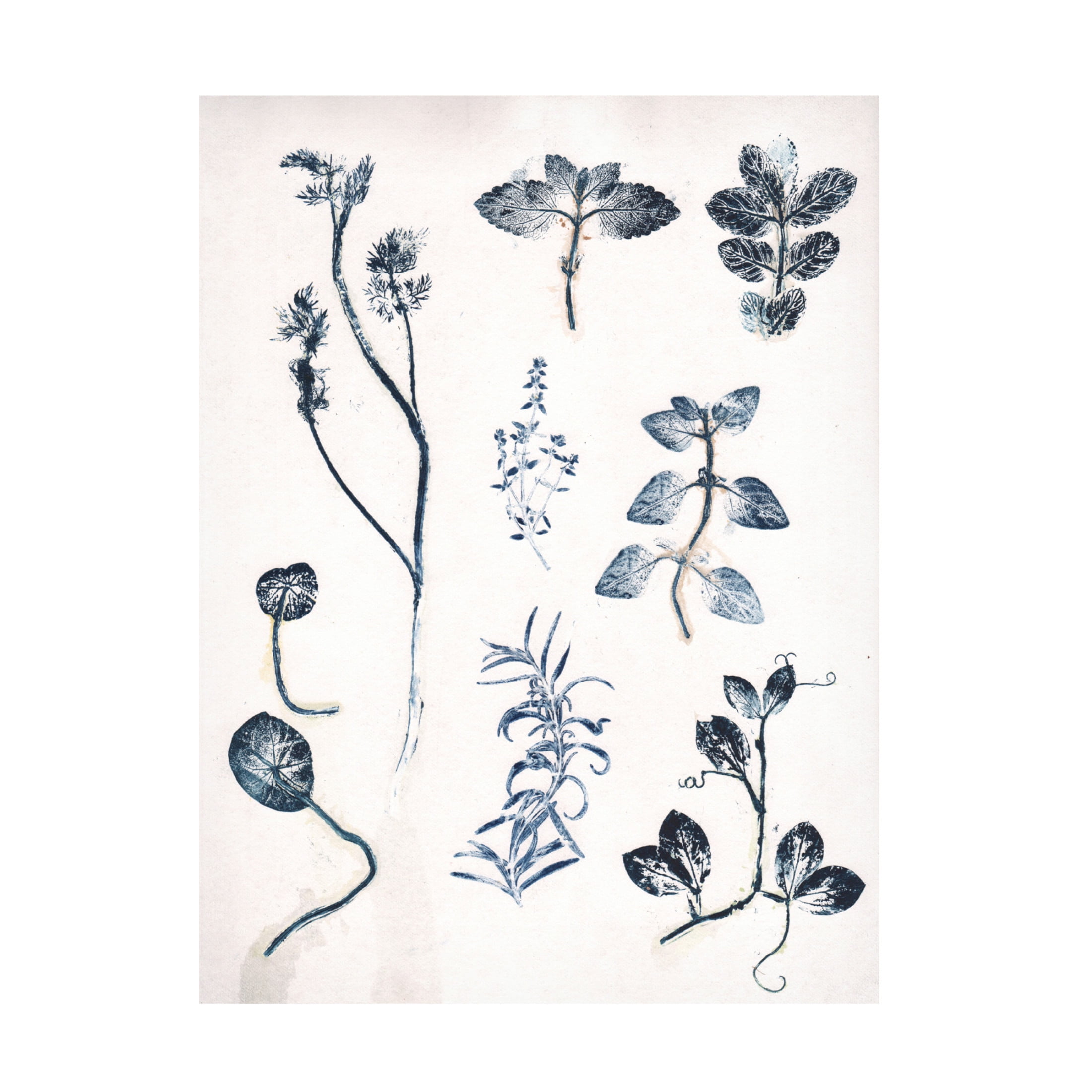 Canvas Wall Art - Pernille Folcarelli 'Herbs Garden Blue' Wall Art for Living Room, Bedroom, or Office Décor by Trademark Fine Art - 35 x 47 Inches