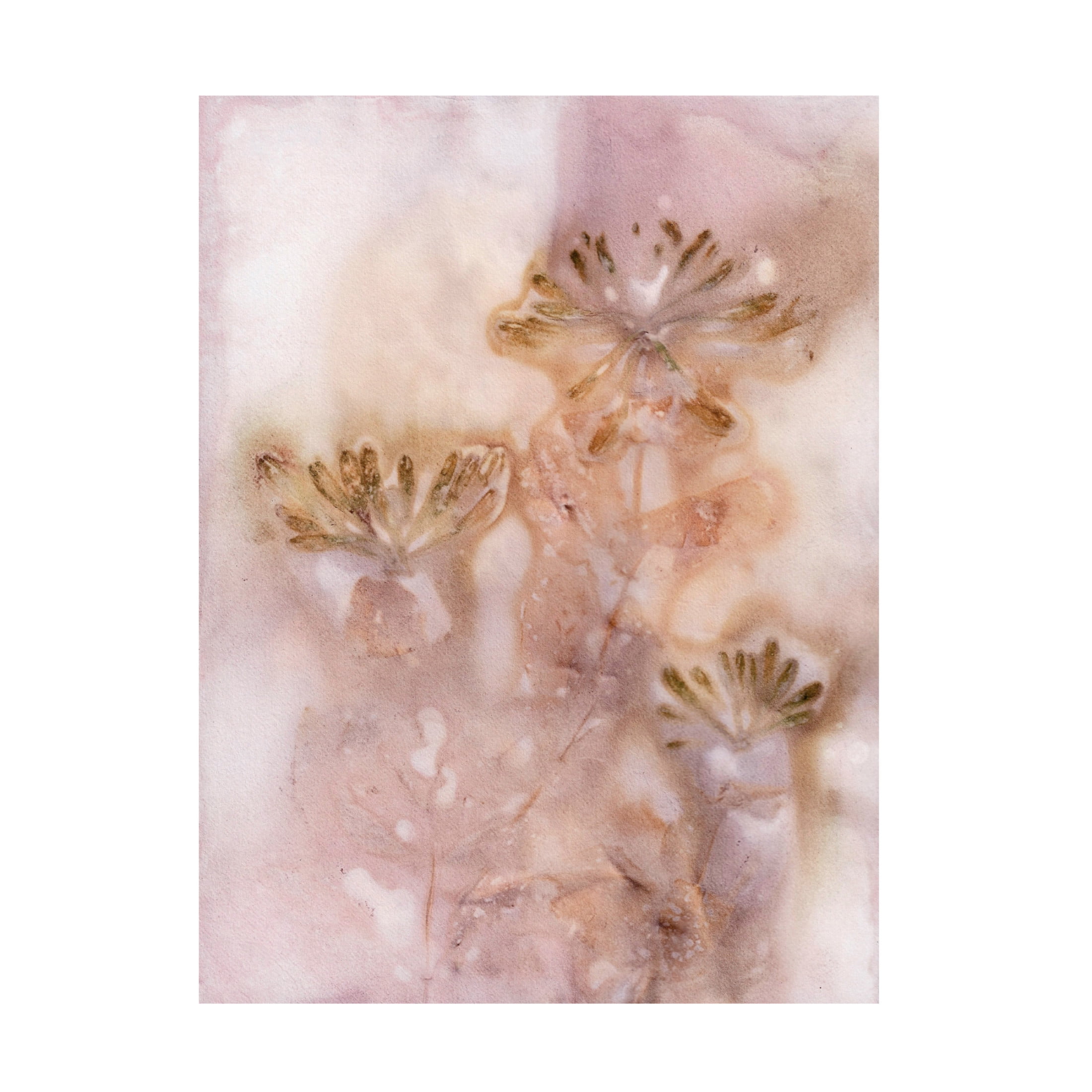 Canvas Wall Art - Pernille Folcarelli 'Honeysuckle Golden Rose' Wall Art for Living Room, Bedroom, or Office Décor by Trademark Fine Art - 35 x 47 Inches