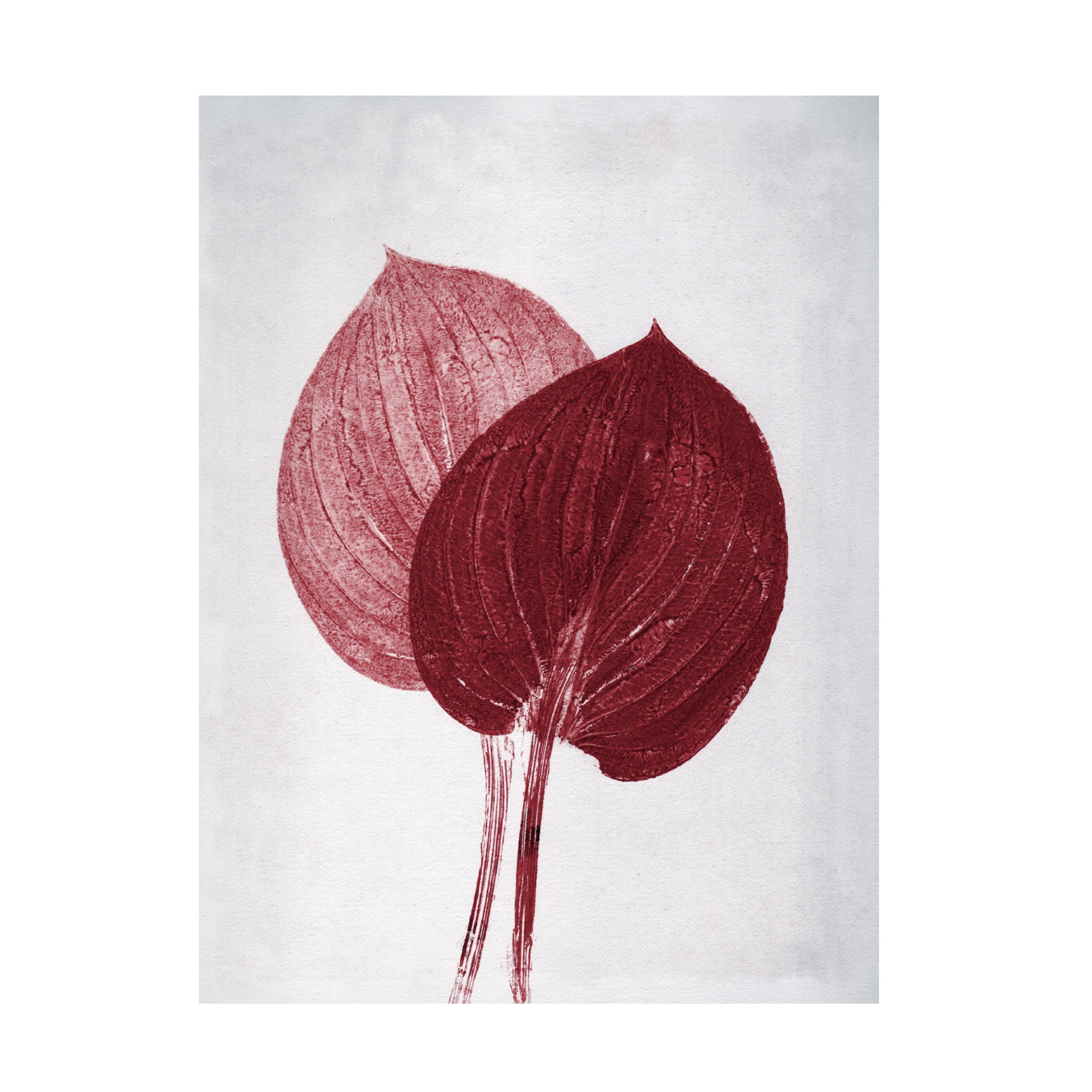 Canvas Wall Art - Pernille Folcarelli 'Hosta 2 Bordeaux' Wall Art for Living Room, Bedroom, or Office Décor by Trademark Fine Art - 18 x 24 Inches