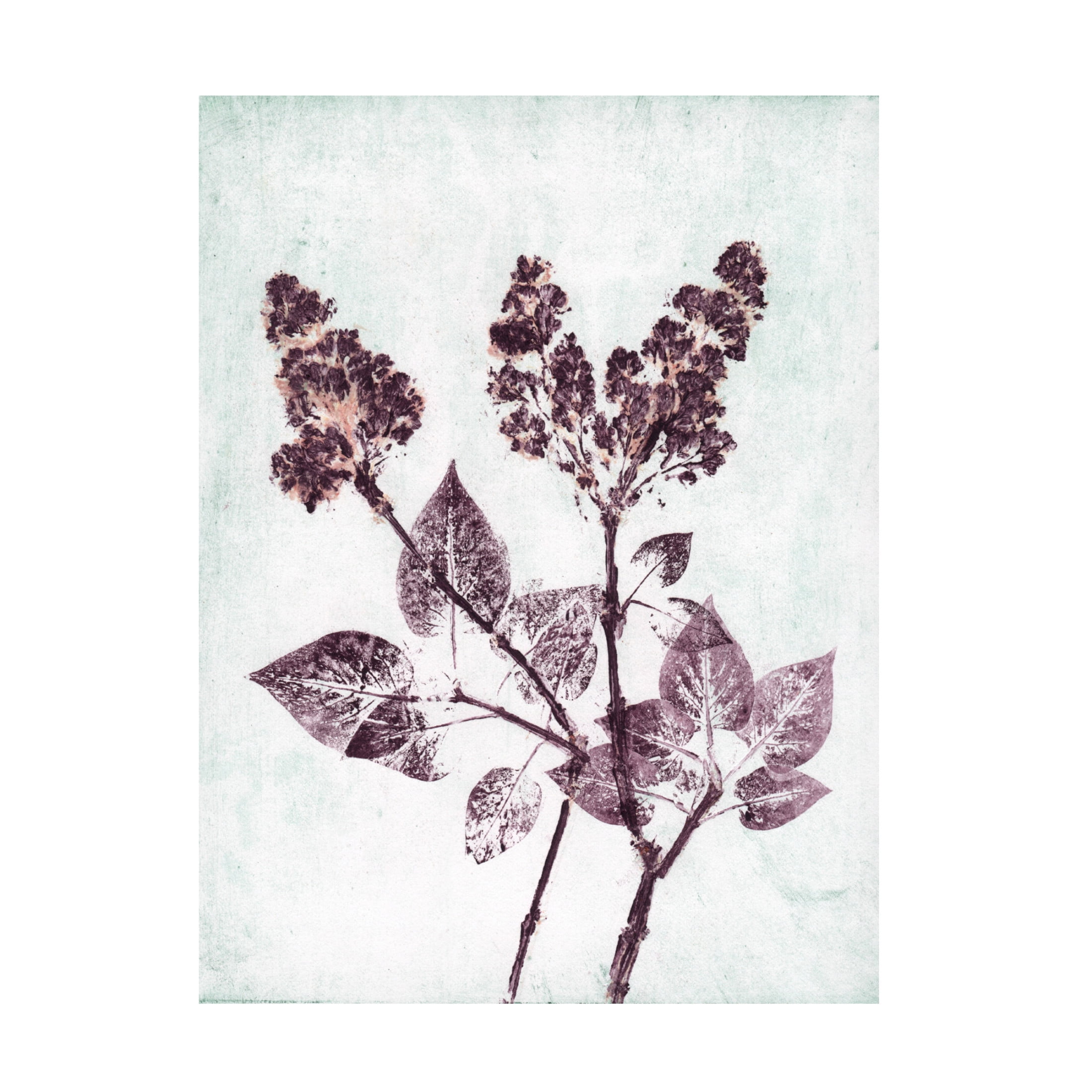 Canvas Wall Art - Pernille Folcarelli 'Lilac 1 Aqua Plum' Wall Art for Living Room, Bedroom, or Office Décor by Trademark Fine Art - 14 x 19 Inches
