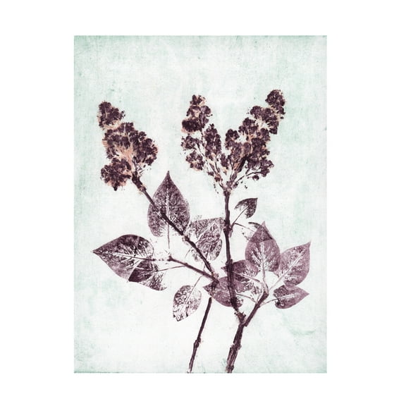 Canvas Wall Art - Pernille Folcarelli 'Lilac 1 Aqua Plum' Wall Art for Living Room, Bedroom, or Office Décor by Trademark Fine Art - 18 x 24 Inches