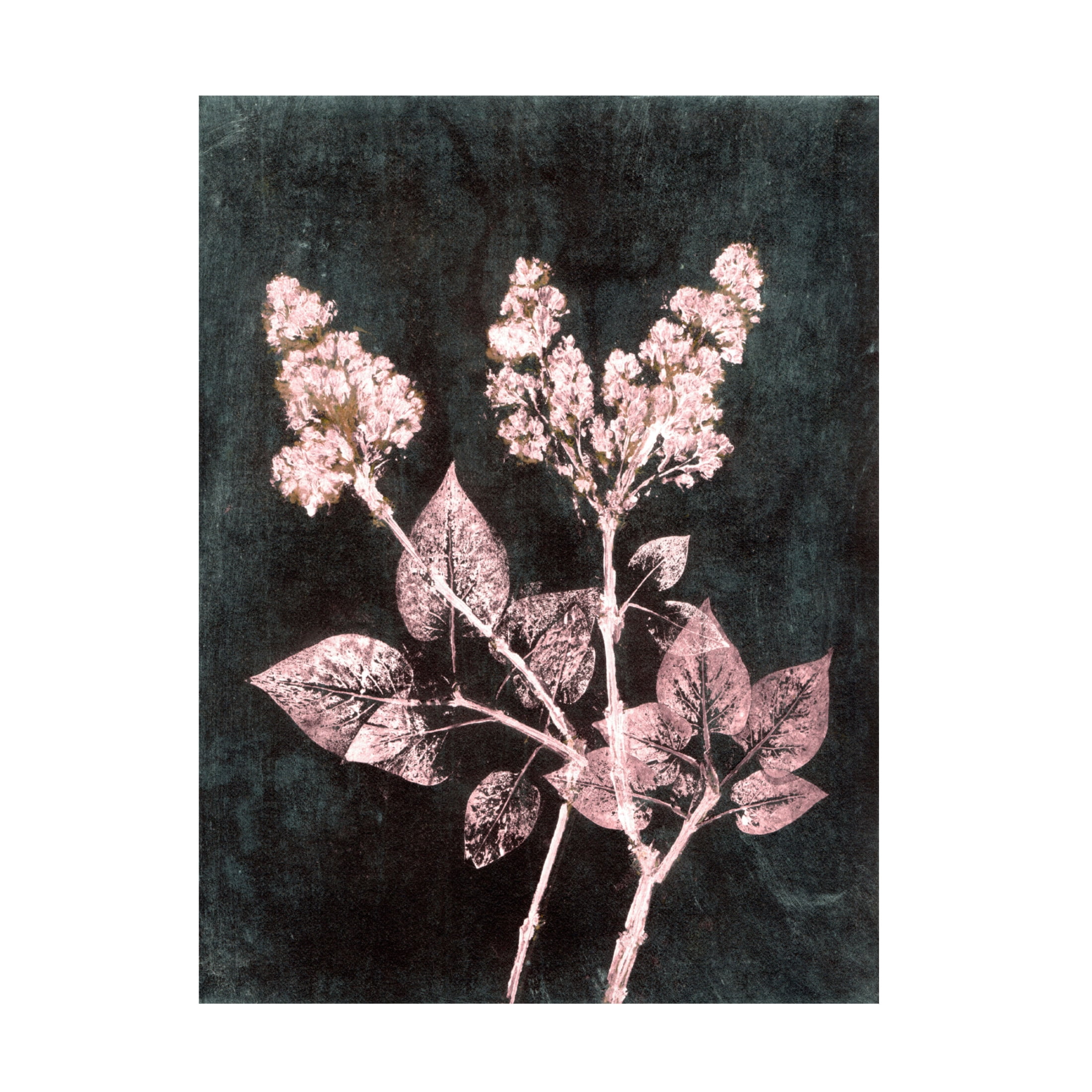 Canvas Wall Art - Pernille Folcarelli 'Lilac 1 Blush Dark Green' Wall Art for Living Room, Bedroom, or Office Décor by Trademark Fine Art - 14 x 19 Inches
