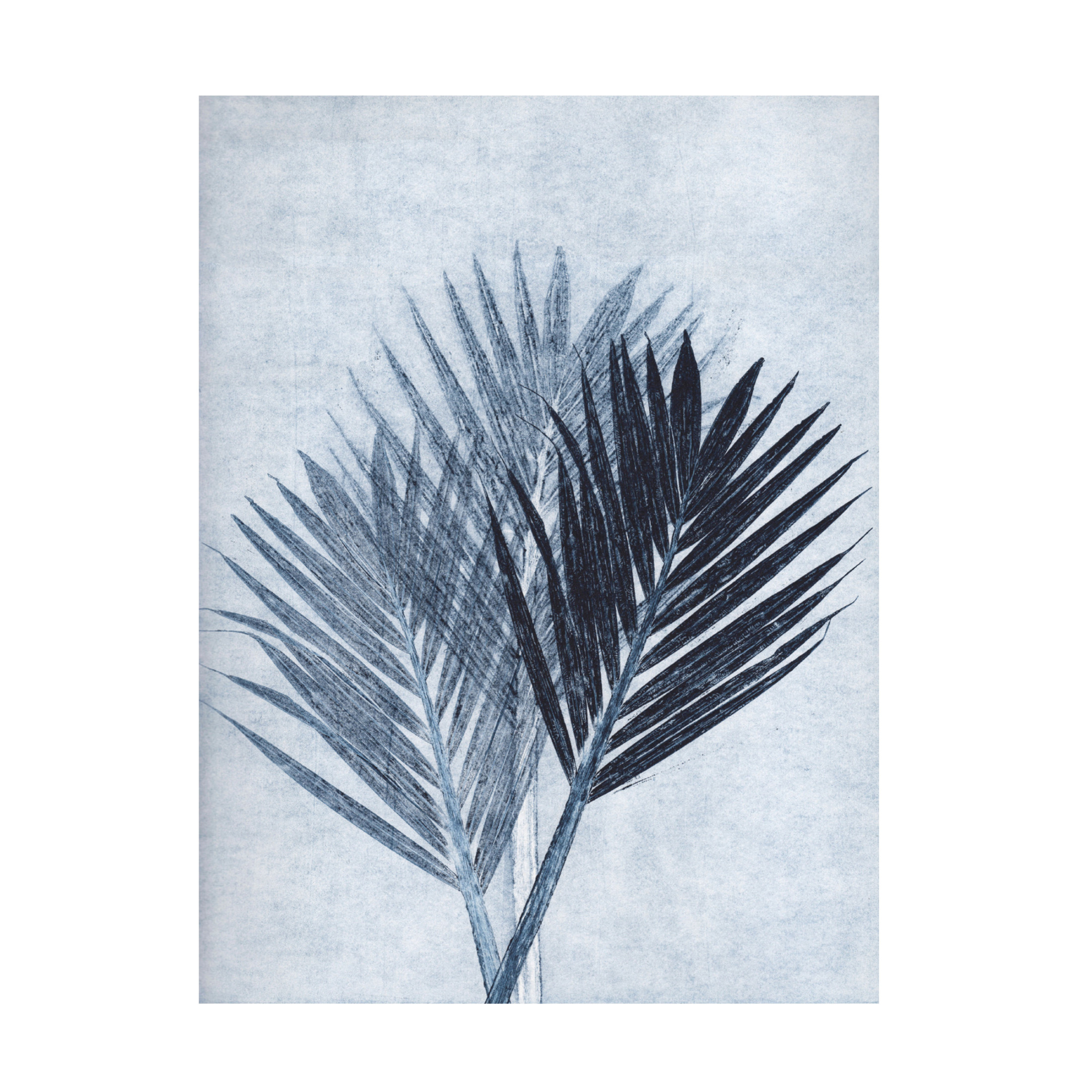 Canvas Wall Art - Pernille Folcarelli 'Palm 4 Blue' Wall Art for Living Room, Bedroom, or Office Décor by Trademark Fine Art - 35 x 47 Inches