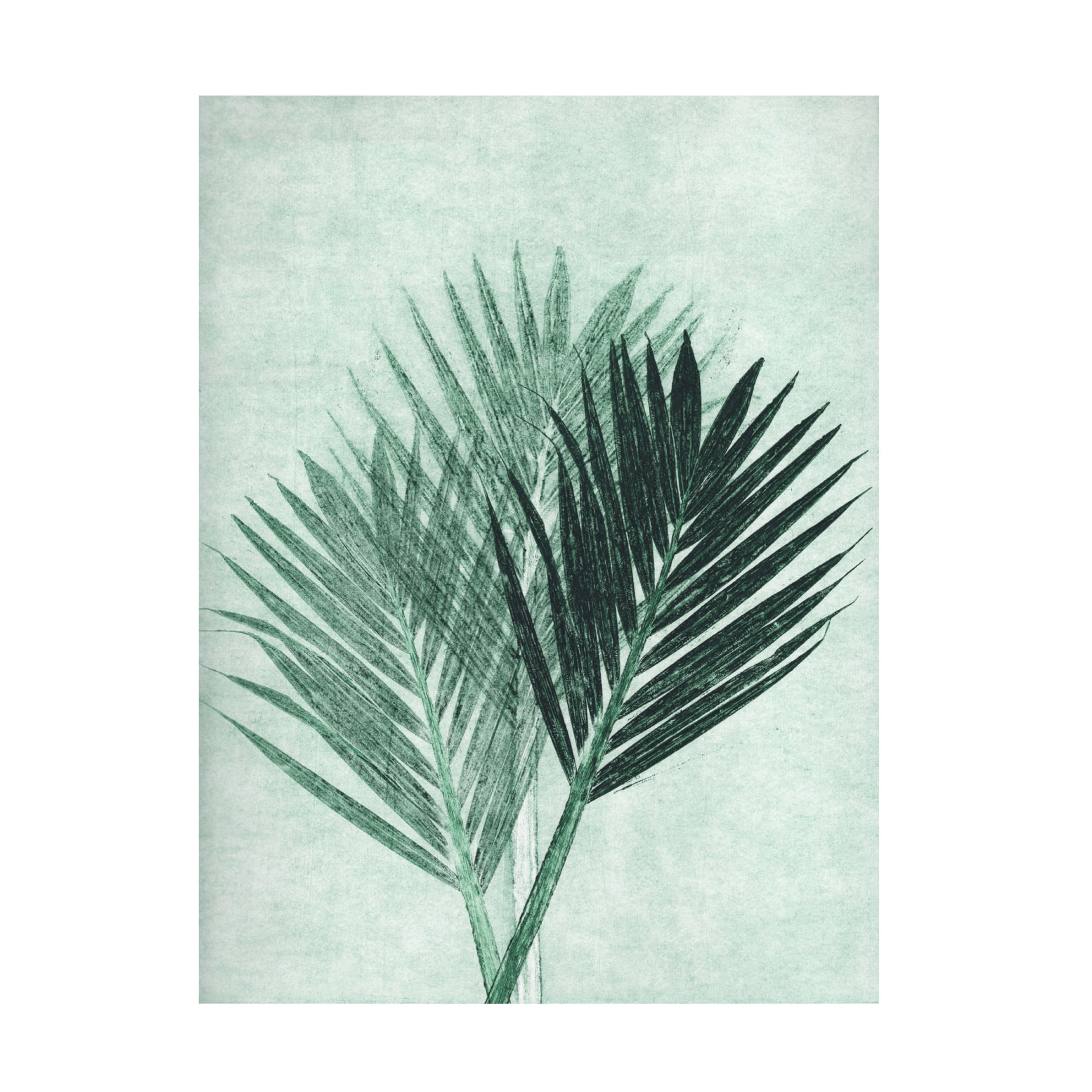 Canvas Wall Art - Pernille Folcarelli 'Palm 4 Green' Wall Art for Living Room, Bedroom, or Office Décor by Trademark Fine Art - 14 x 19 Inches