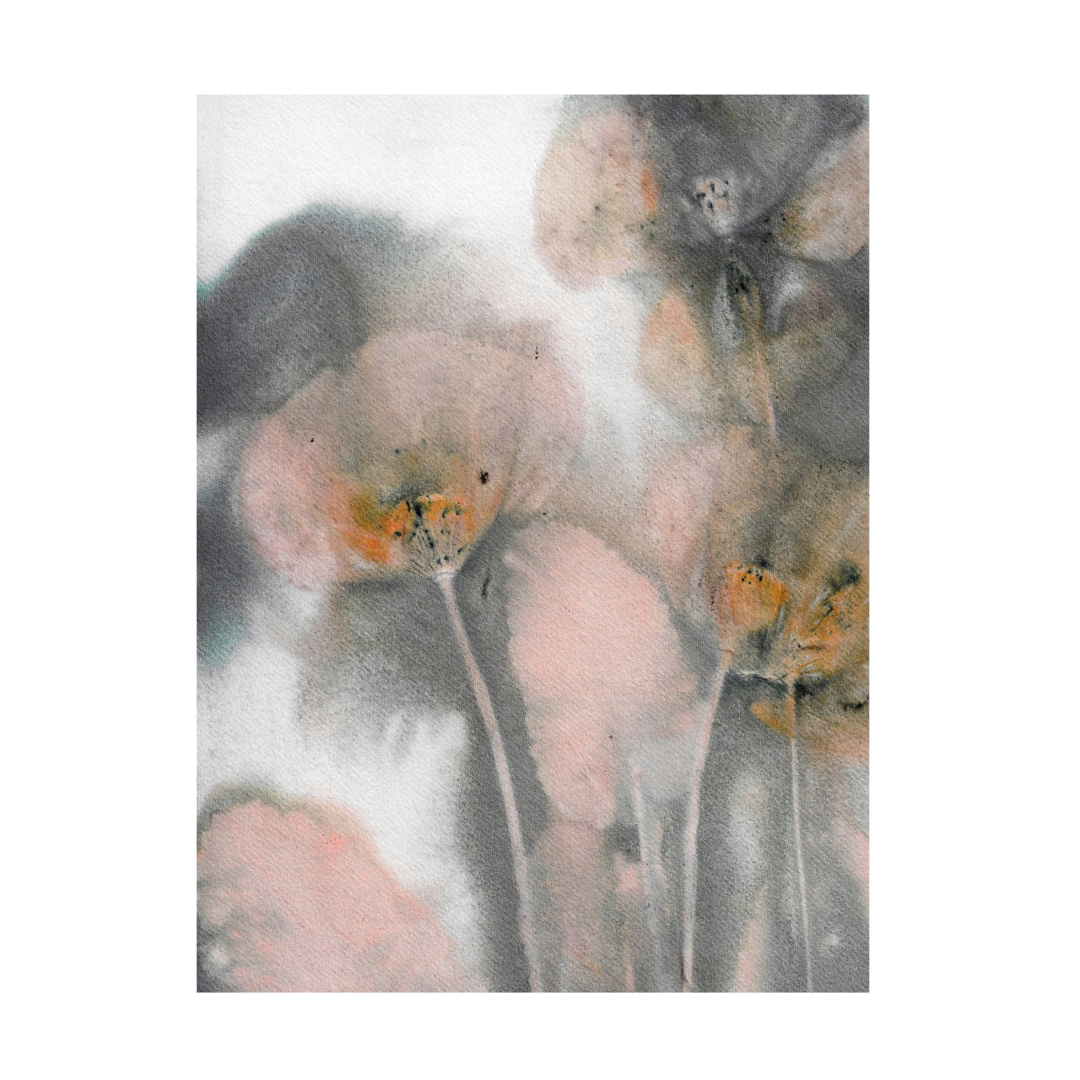 Canvas Wall Art - Pernille Folcarelli 'Poppy Salmon Grey' Wall Art for Living Room, Bedroom, or Office Décor by Trademark Fine Art - 24 x 32 Inches