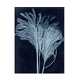 thumbnail image 1 of Canvas Wall Art - Pernille Folcarelli 'Silvergrass Midnight Blue' Wall Art for Living Room, Bedroom, or Office Décor by Trademark Fine Art - 35 x 47 Inches, 1 of 4