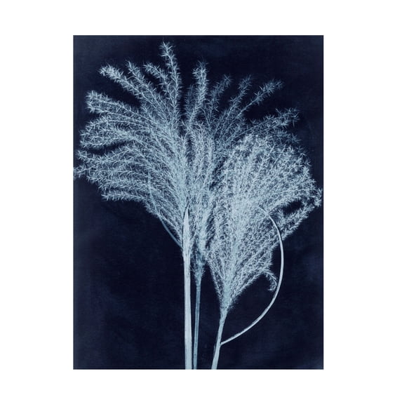 Canvas Wall Art - Pernille Folcarelli 'Silvergrass Midnight Blue' Wall Art for Living Room, Bedroom, or Office Décor by Trademark Fine Art - 35 x 47 Inches