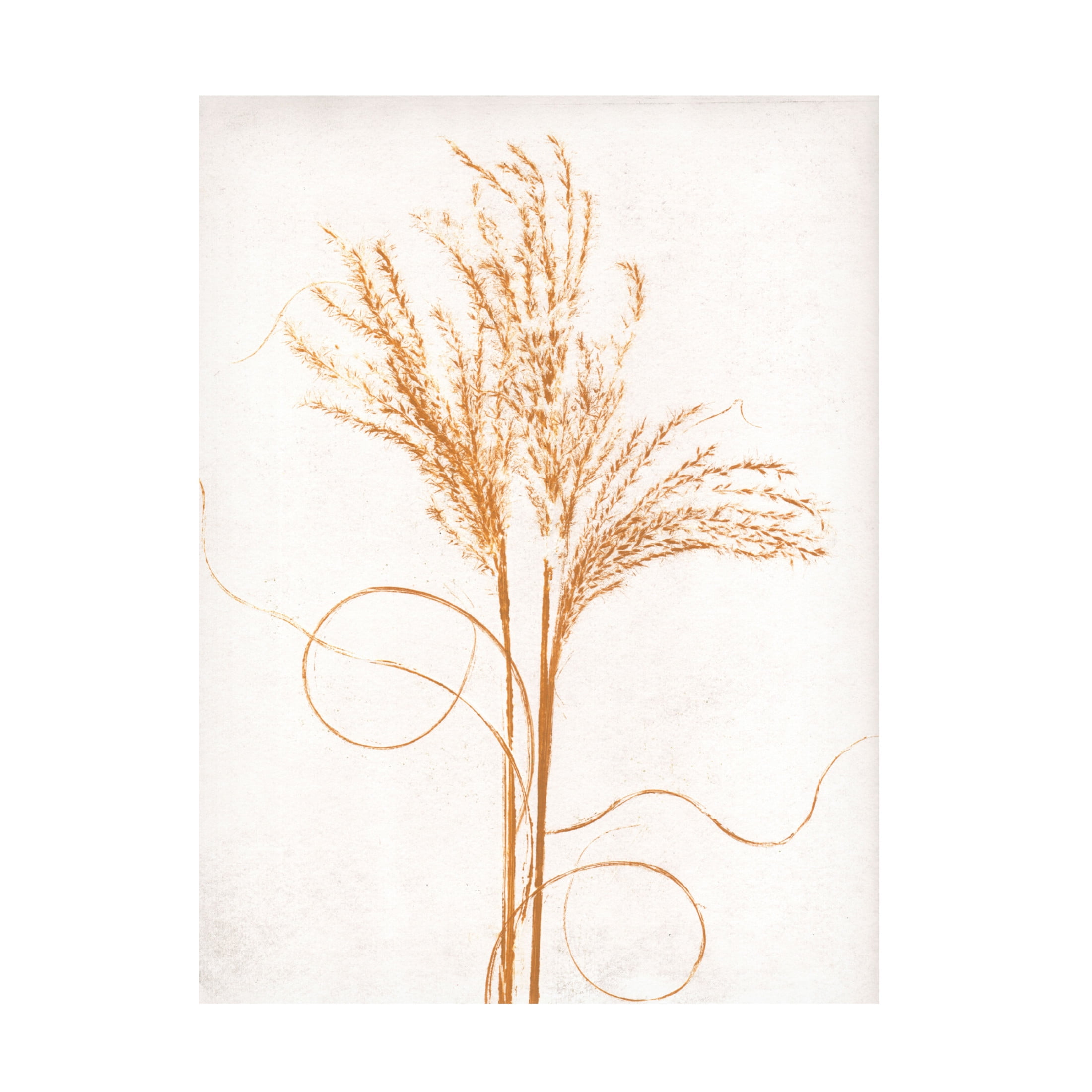 Canvas Wall Art - Pernille Folcarelli 'Silvergrass Mustard' Wall Art for Living Room, Bedroom, or Office Décor by Trademark Fine Art - 14 x 19 Inches