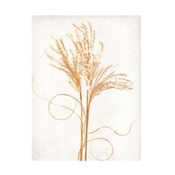 Canvas Wall Art - Pernille Folcarelli 'Silvergrass Mustard' Wall Art for Living Room, Bedroom, or Office Décor by Trademark Fine Art - 35 x 47 Inches
