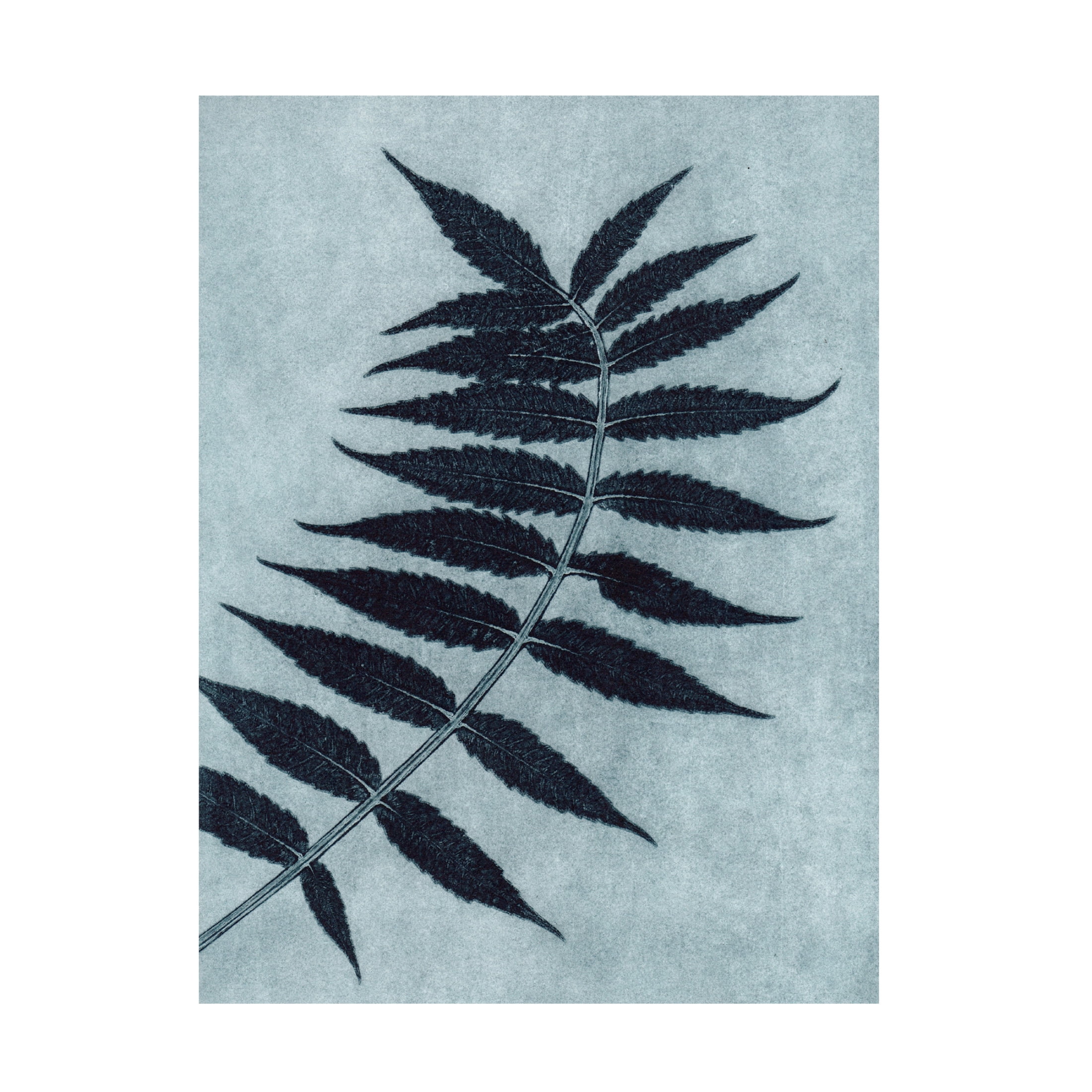 Canvas Wall Art - Pernille Folcarelli 'Sumac Petrol' Wall Art for Living Room, Bedroom, or Office Décor by Trademark Fine Art - 24 x 32 Inches