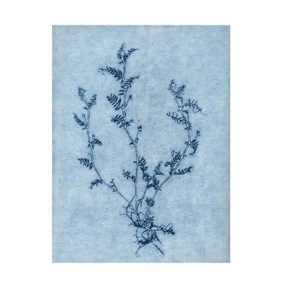 Canvas Wall Art - Pernille Folcarelli 'Vicia Sky Blue' Wall Art for Living Room, Bedroom, or Office Décor by Trademark Fine Art - 14 x 19 Inches