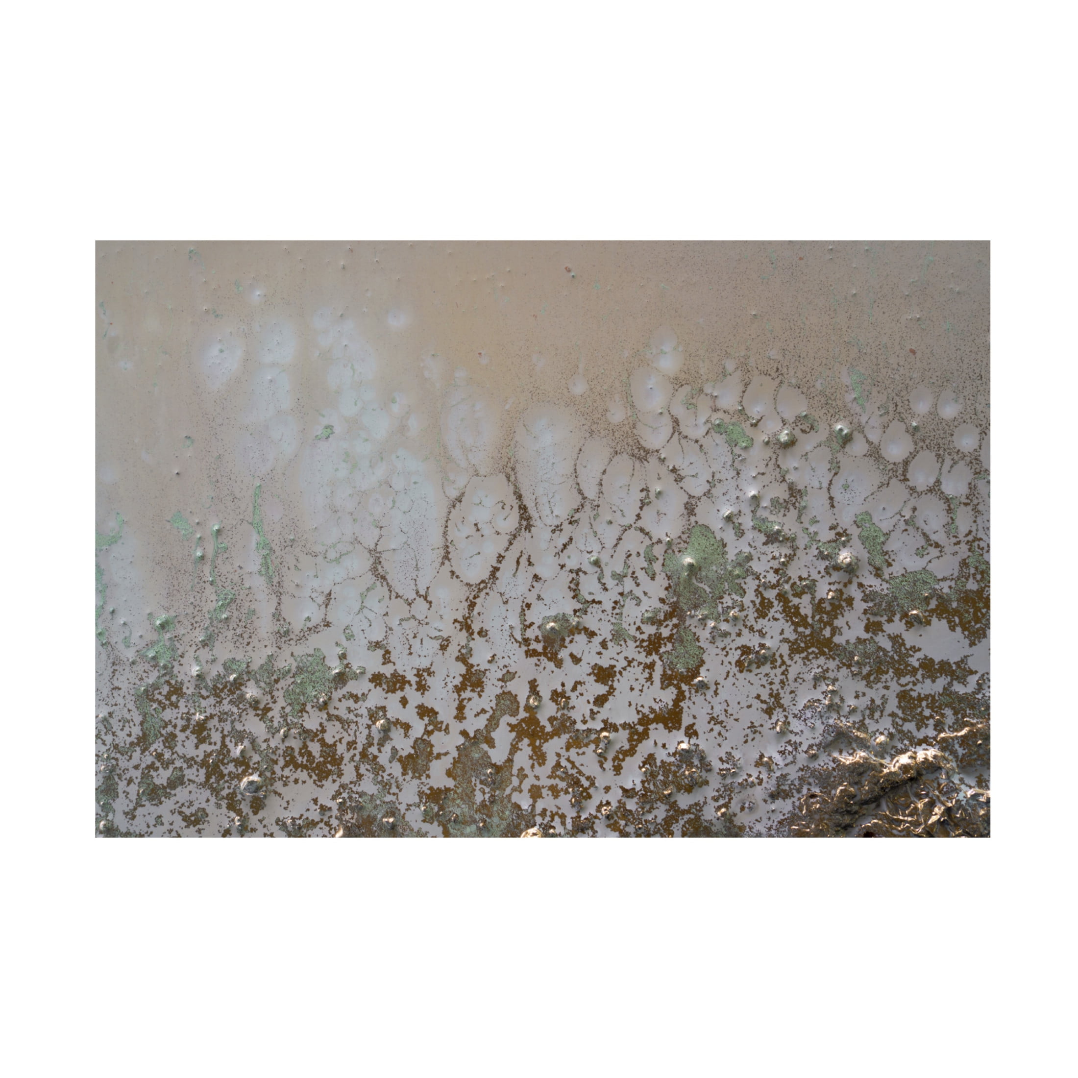 Canvas Wall Art - Petra Meikle de Vlas 'Lifted' Wall Art for Living Room, Bedroom, or Office Décor by Trademark Fine Art - 19 x 12 Inches