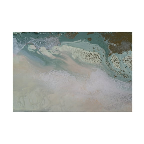 Canvas Wall Art - Petra Meikle de Vlas 'Path of Transformation' Wall Art for Living Room, Bedroom, or Office Décor by Trademark Fine Art - 32 x 22 Inches