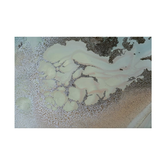 Canvas Wall Art - Petra Meikle de Vlas 'Shifting' Wall Art for Living Room, Bedroom, or Office Décor by Trademark Fine Art - 32 x 22 Inches