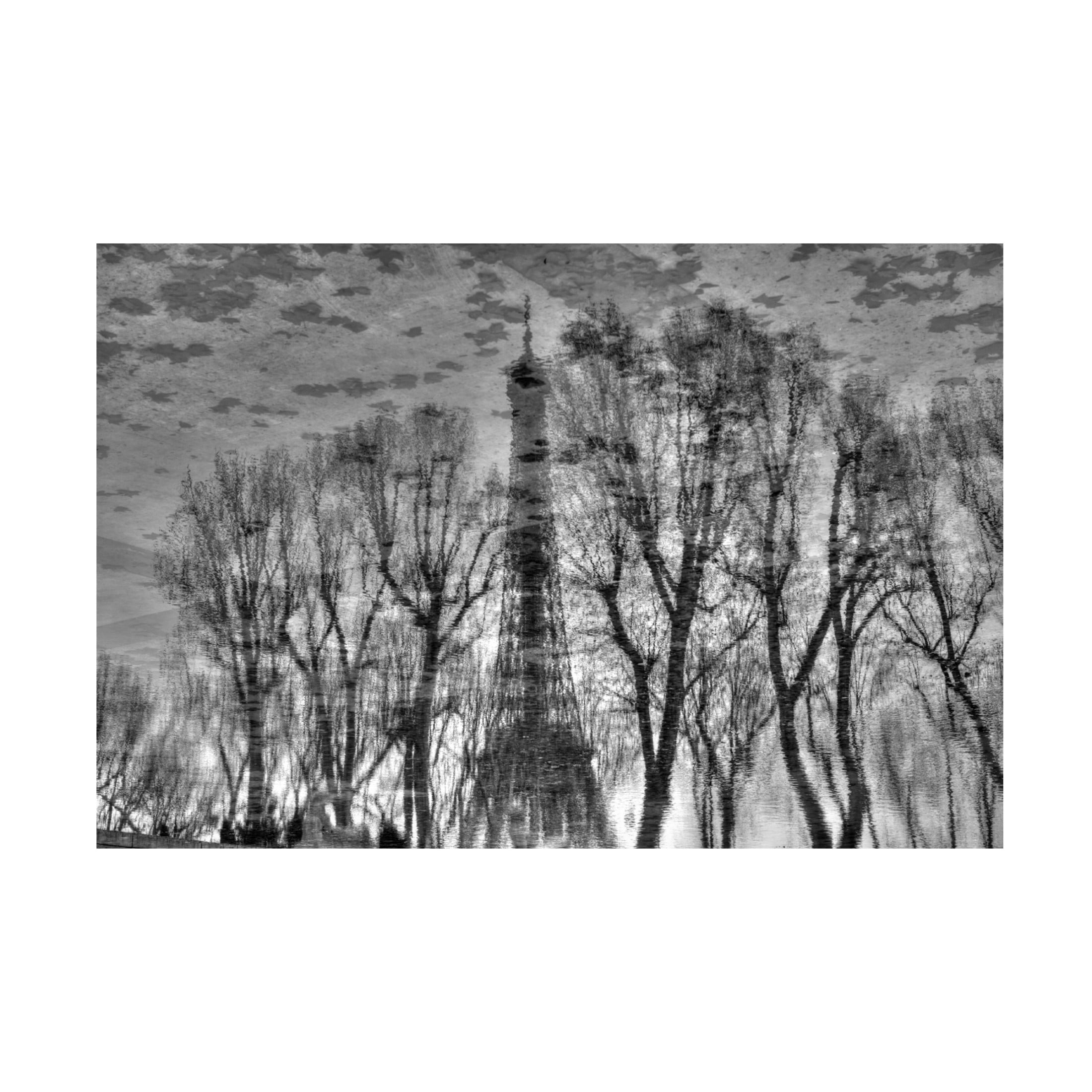 Canvas Wall Art - Philippe DEMARIA 'Reflection' Wall Art for Living Room, Bedroom, or Office D?cor by Trademark Fine Art - 47 x 30 Inches