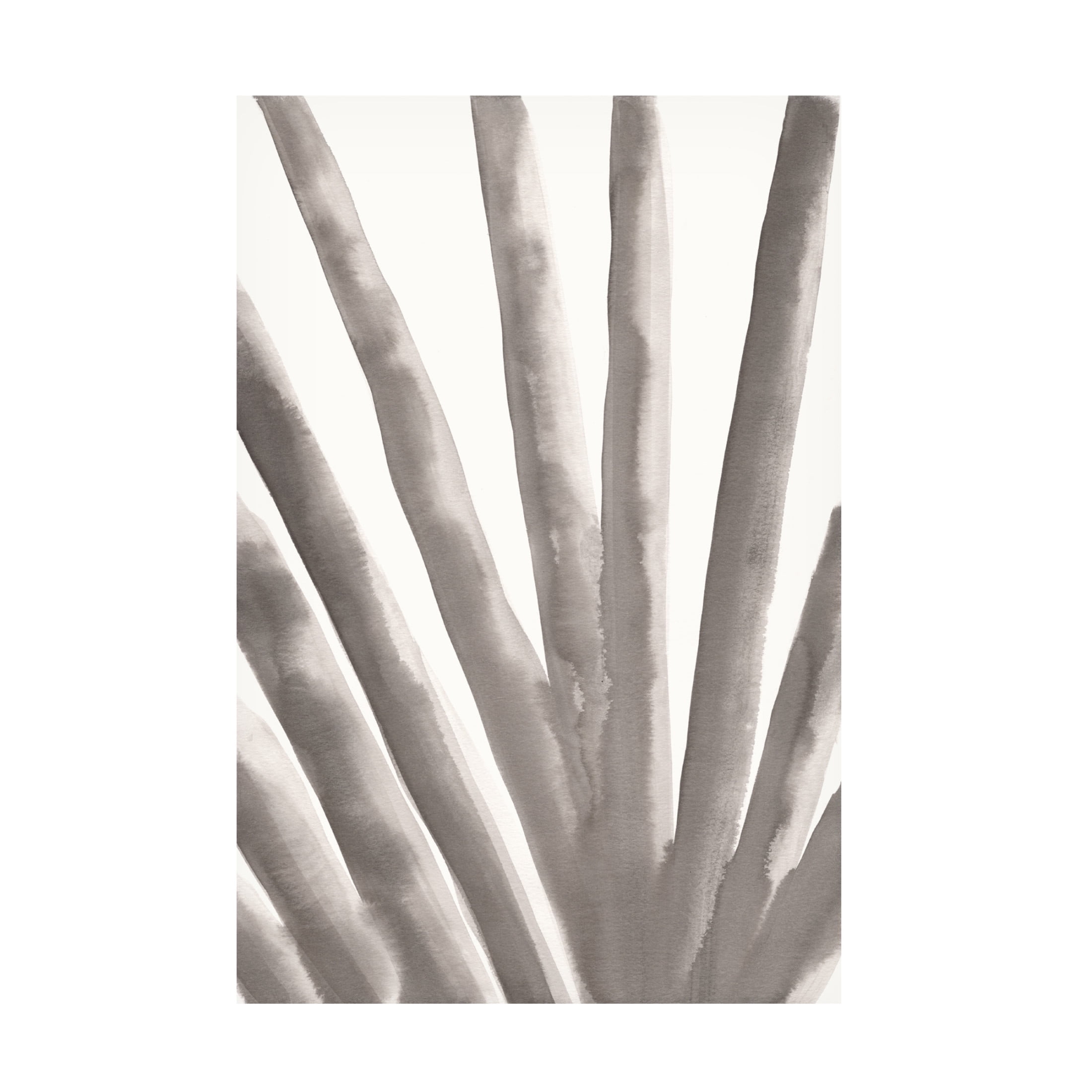 Canvas Wall Art - Pictufy Studio 'Aloe Vera' Wall Art for Living Room, Bedroom, or Office Décor by Trademark Fine Art - 16 x 24 Inches
