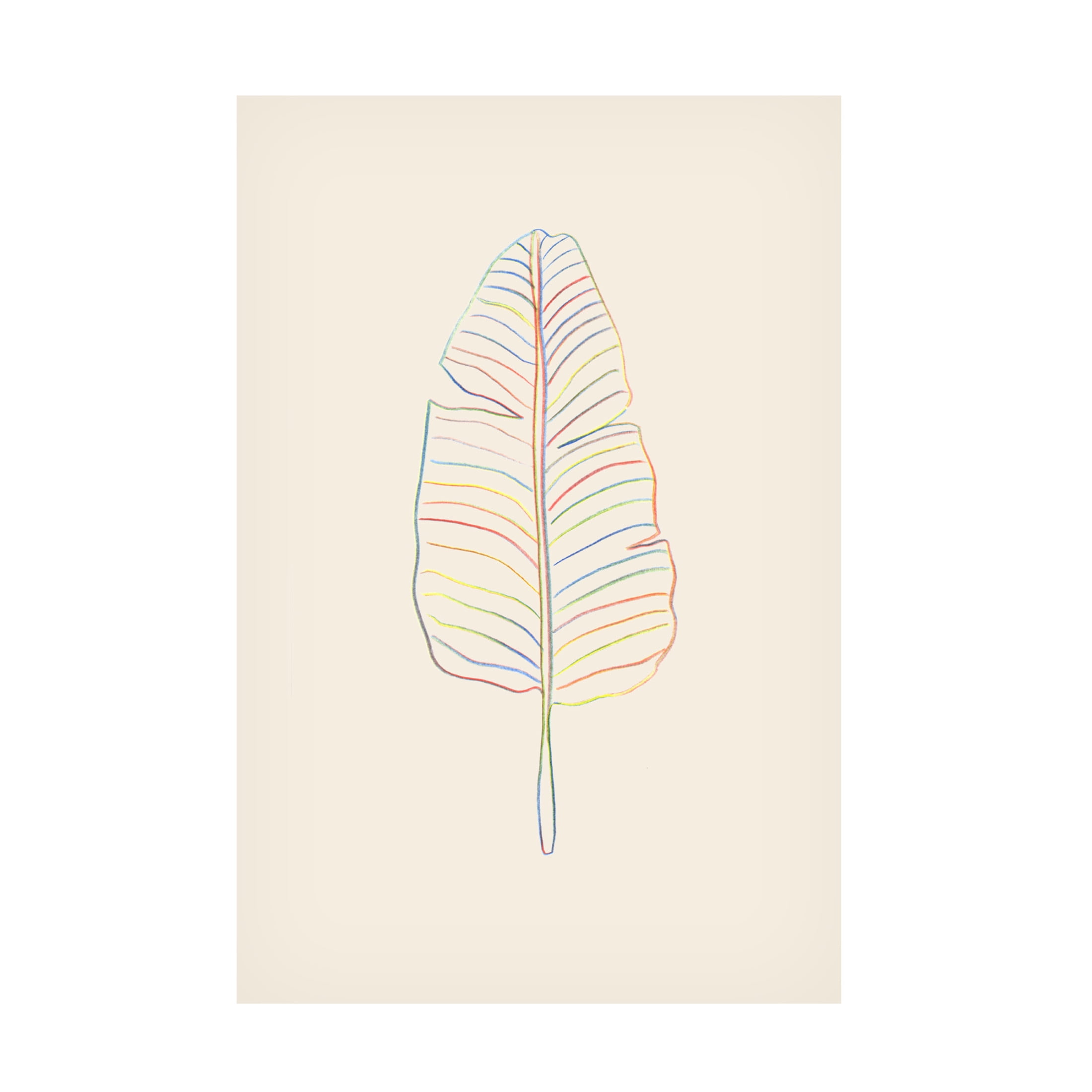 Canvas Wall Art - Pictufy Studio 'Banana Rainbow Leaf' Wall Art for Living Room, Bedroom, or Office Décor by Trademark Fine Art - 30 x 47 Inches