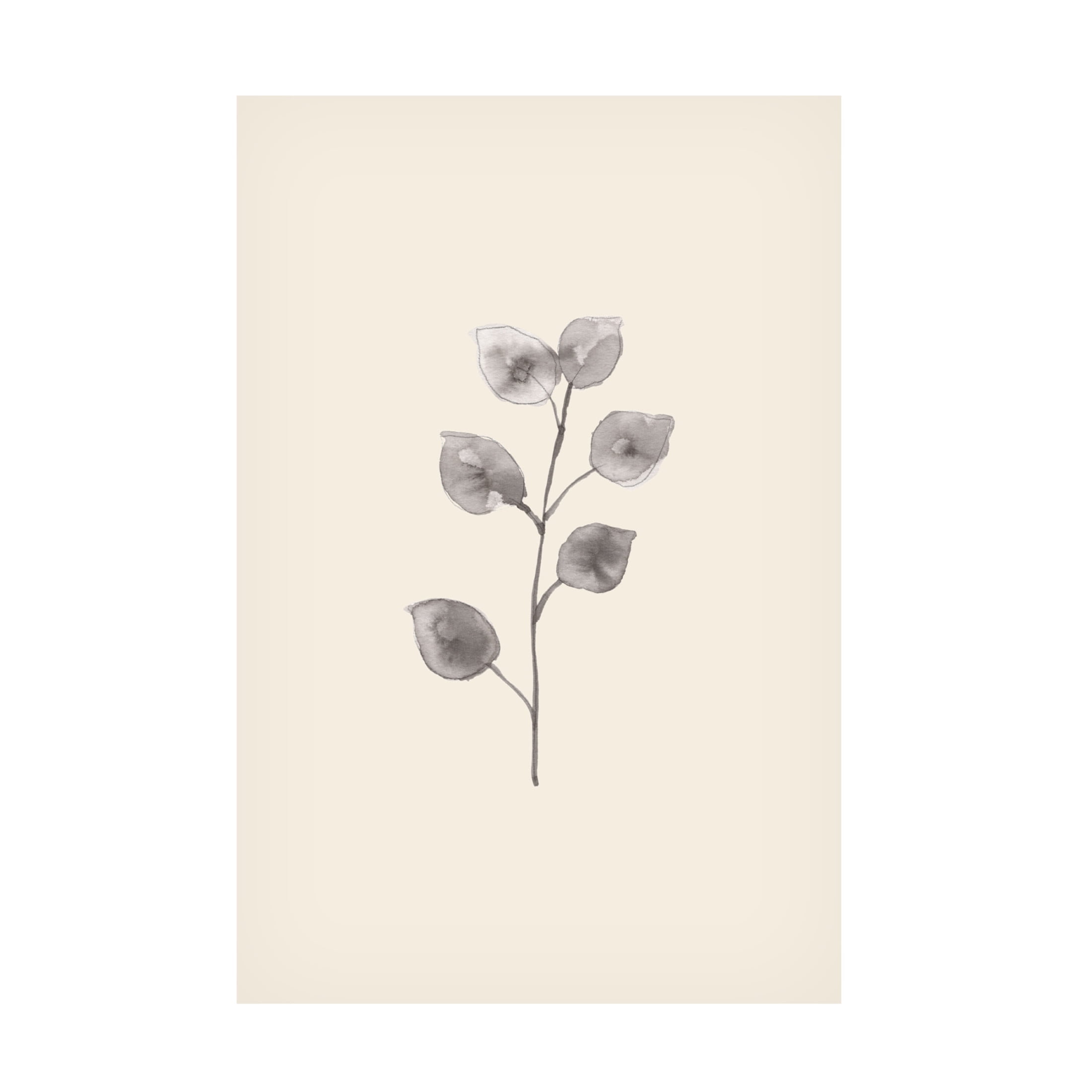 Canvas Wall Art - Pictufy Studio 'Eucalyptus Twig' Wall Art for Living Room, Bedroom, or Office Décor by Trademark Fine Art - 12 x 19 Inches