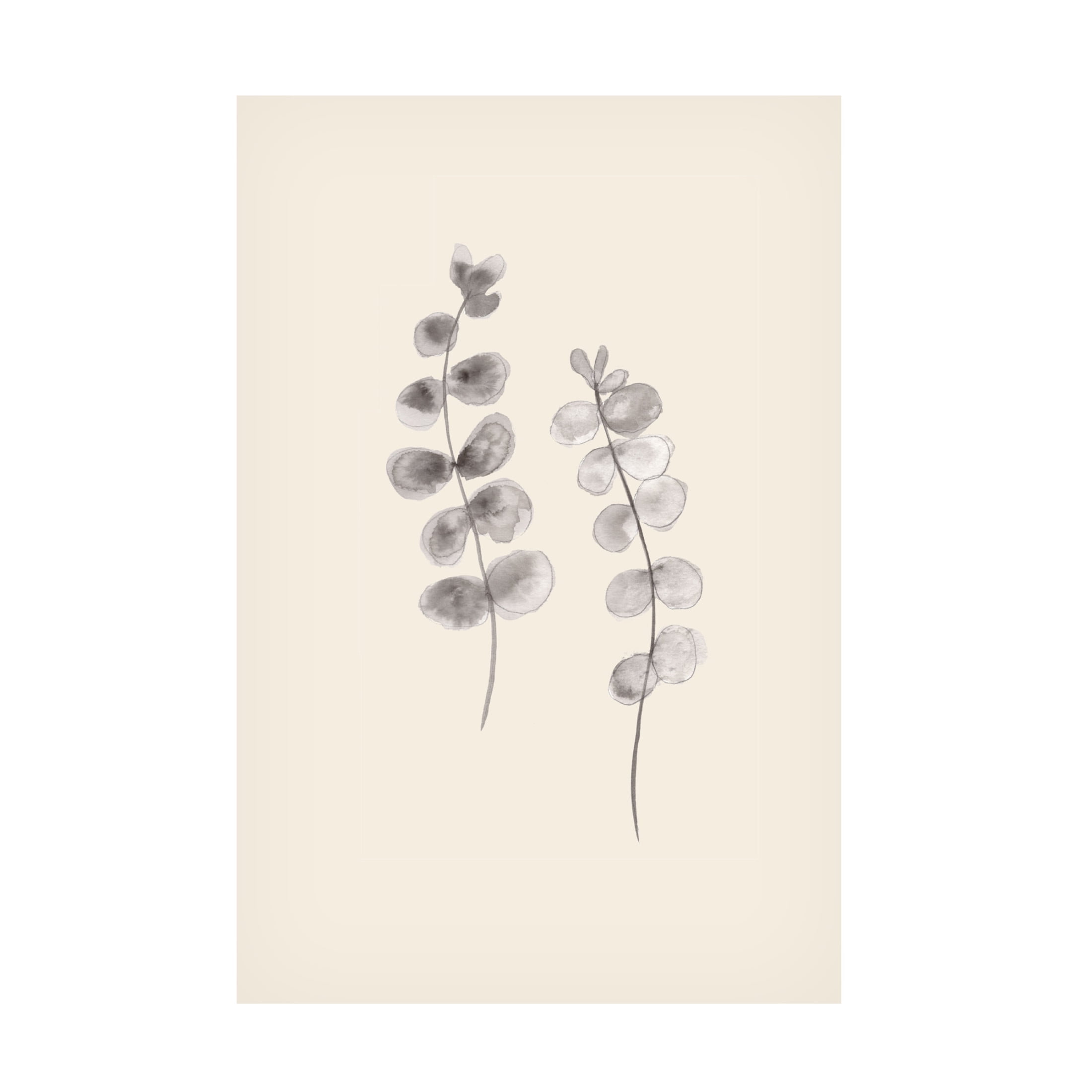 Canvas Wall Art - Pictufy Studio 'Eucalyptus Twigs' Wall Art for Living Room, Bedroom, or Office Décor by Trademark Fine Art - 16 x 24 Inches