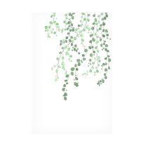 Canvas Wall Art - Pictufy Studio Ii 'Birch Tree' Wall Art for Living Room, Bedroom, or Office Décor by Trademark Fine Art - 12 x 19 Inches