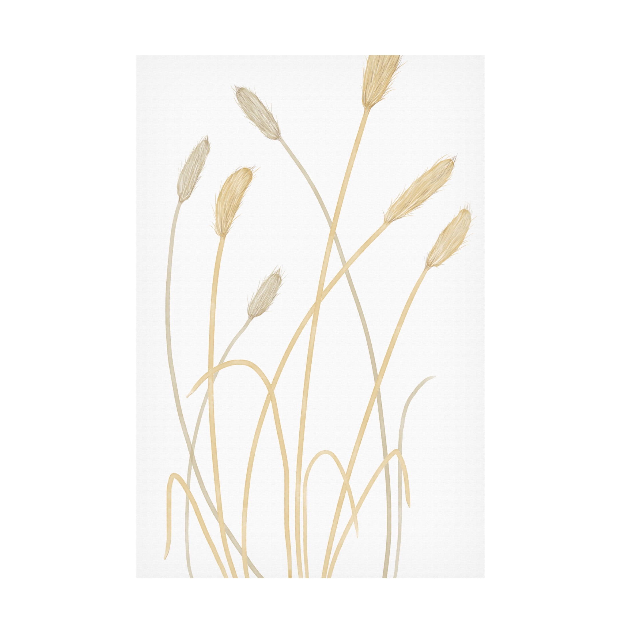 Canvas Wall Art - Pictufy Studio Ii 'Bunny Grass 01' Wall Art for Living Room, Bedroom, or Office Décor by Trademark Fine Art - 30 x 47 Inches